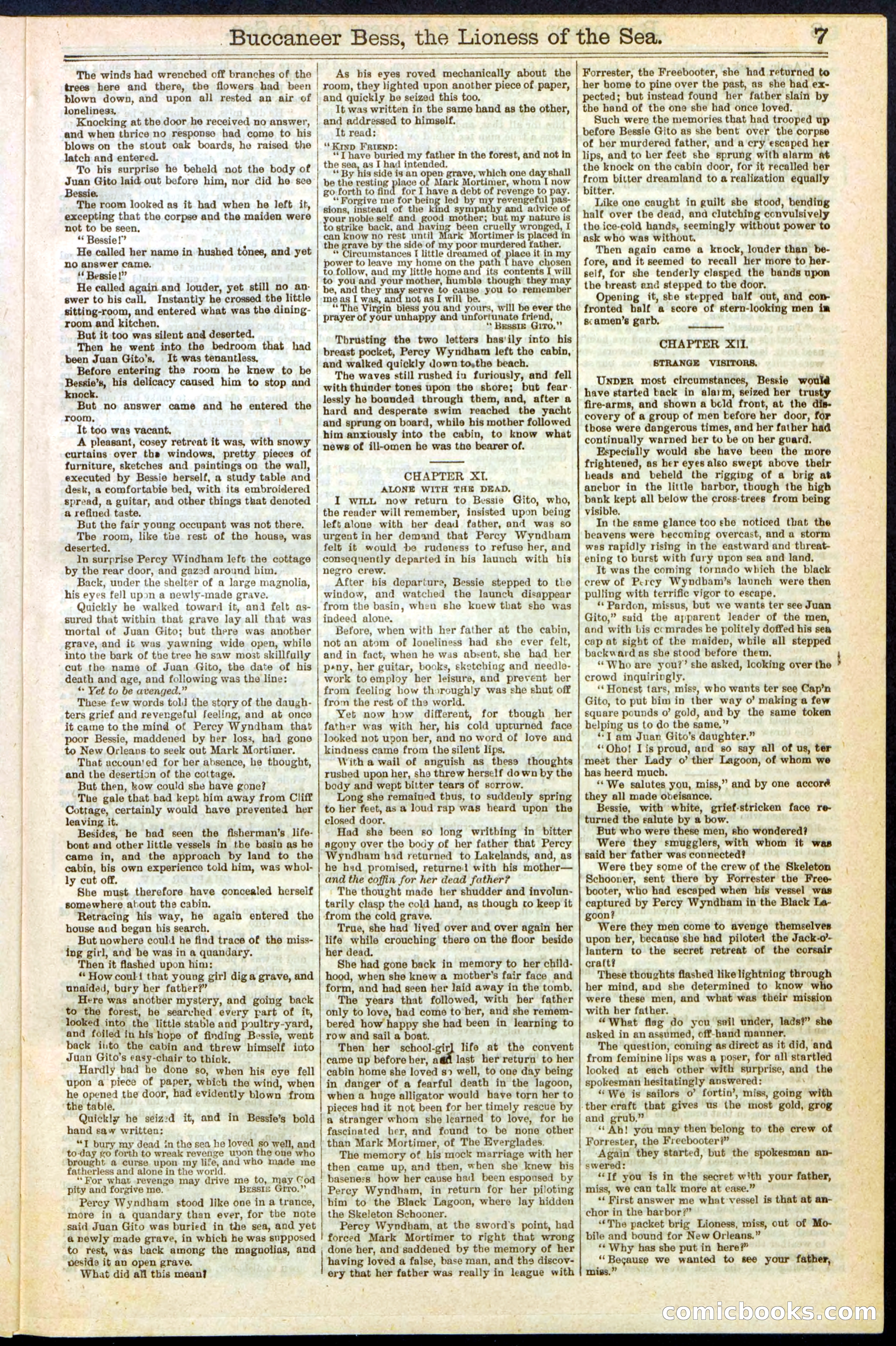 Beadle's New York Dime Library No. 210 — page 7 of 32
