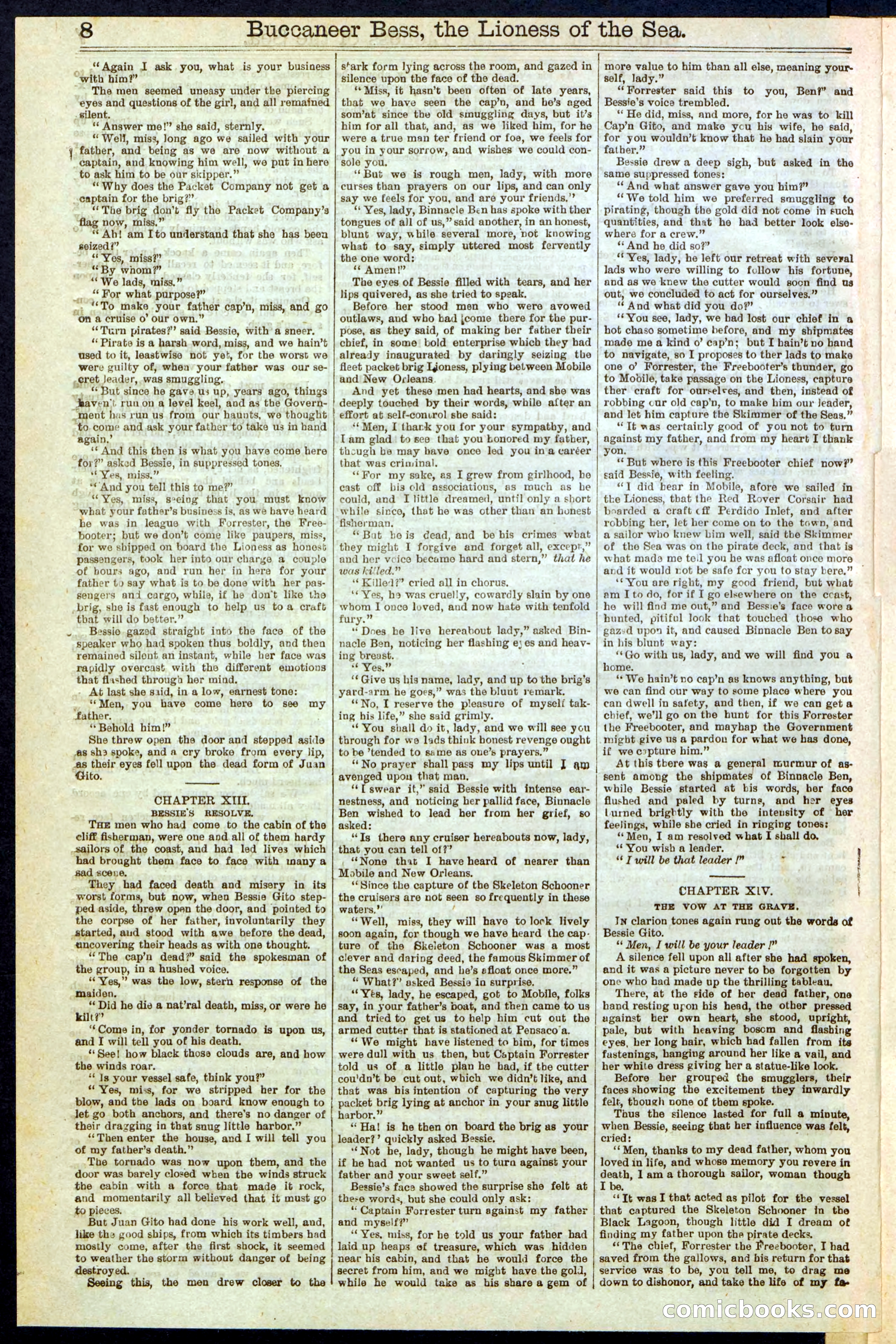 Beadle's New York Dime Library No. 210 — page 8 of 32