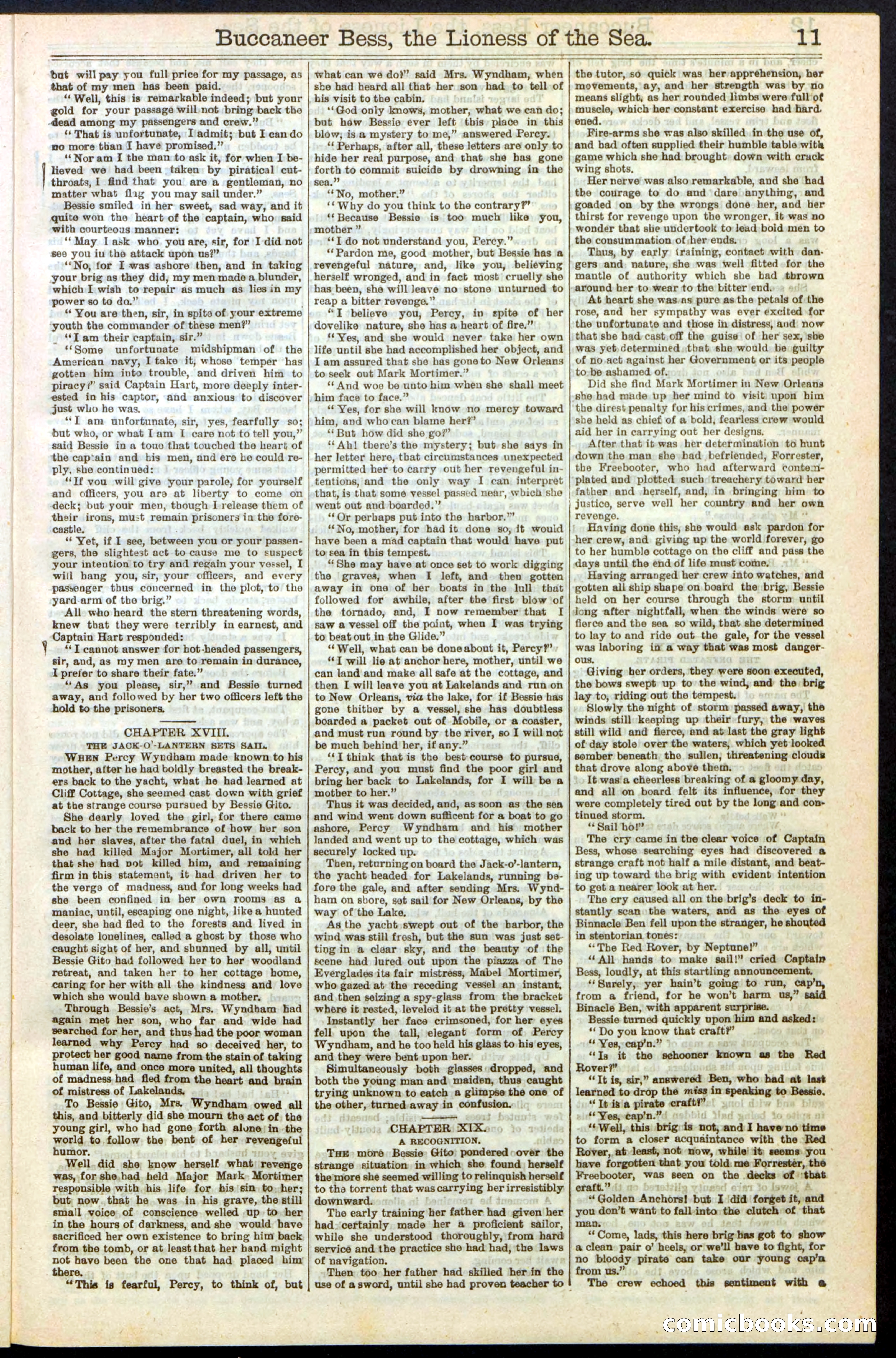 Beadle's New York Dime Library No. 210 — page 11 of 32