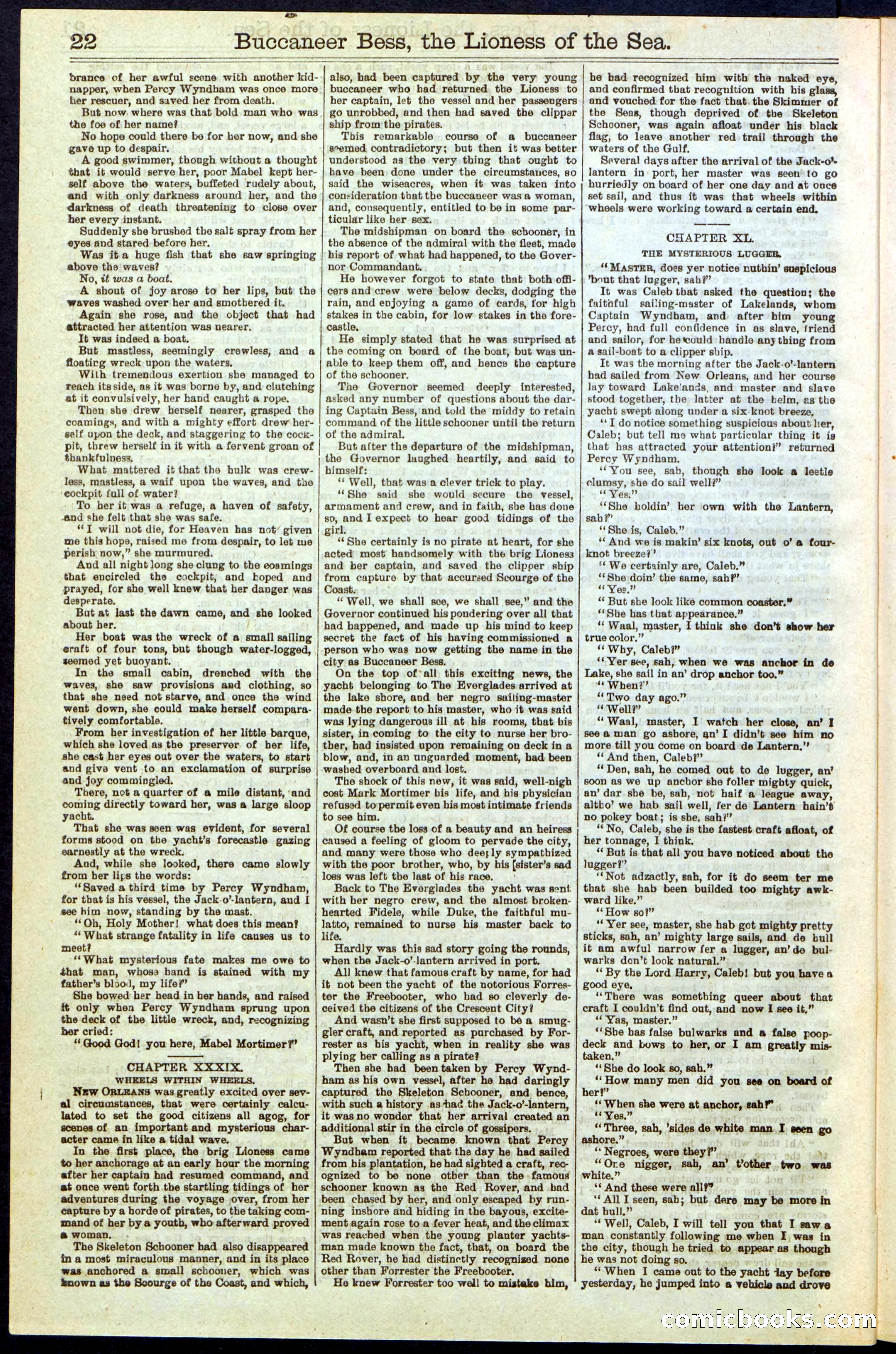 Beadle's New York Dime Library No. 210 — page 22 of 32