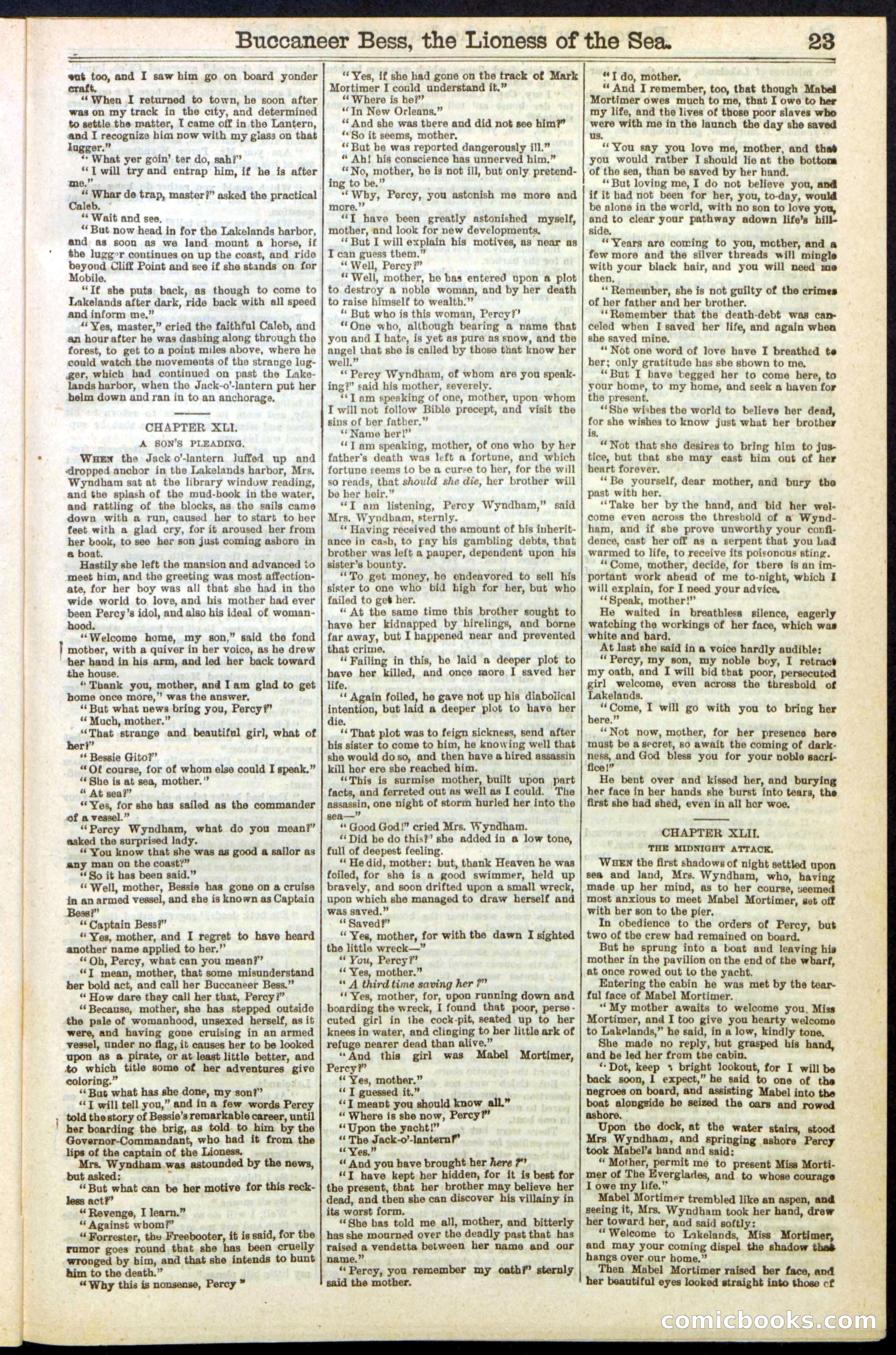 Beadle's New York Dime Library No. 210 — page 23 of 32