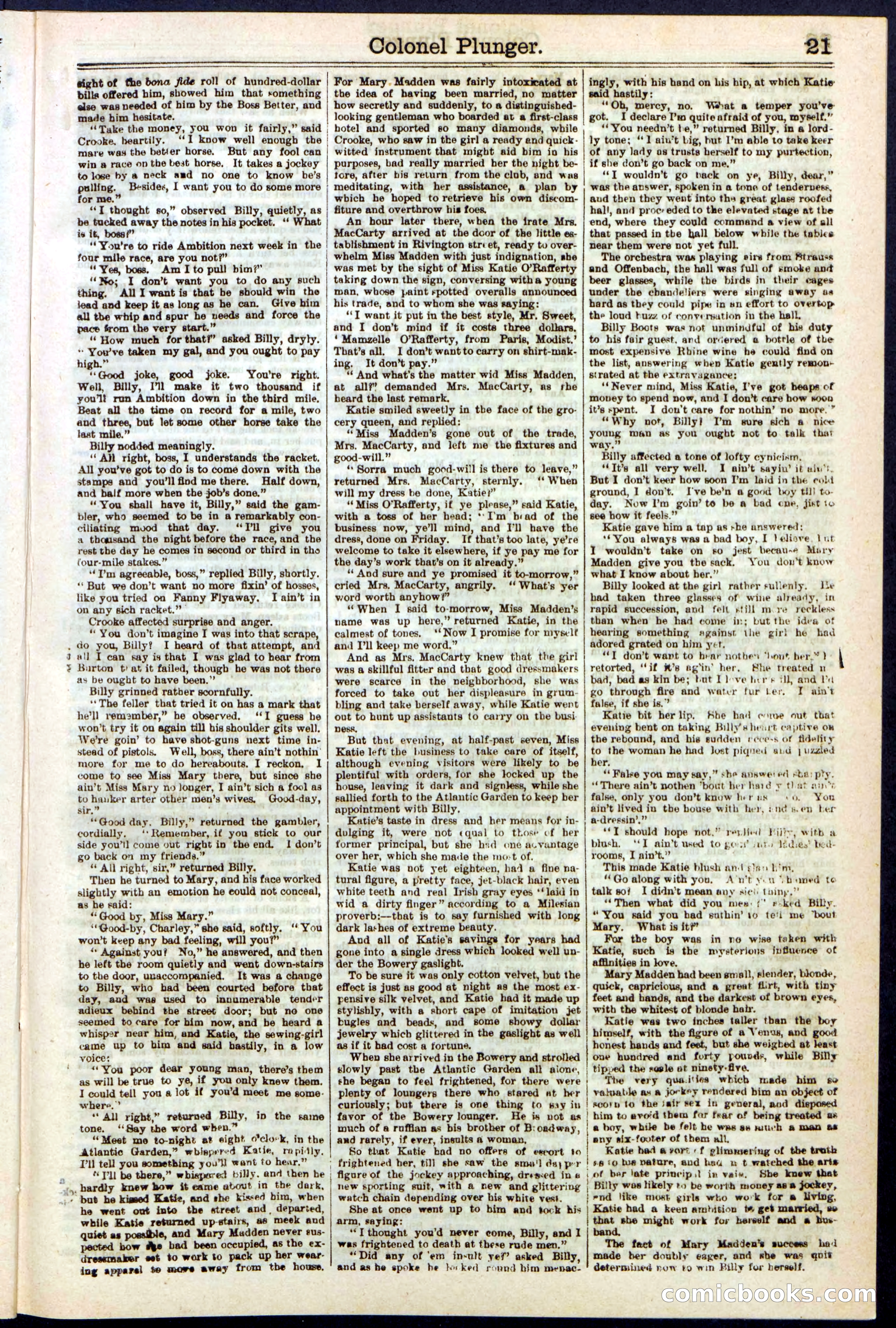 Beadle's Dime Library No. 211 — page 21 of 32