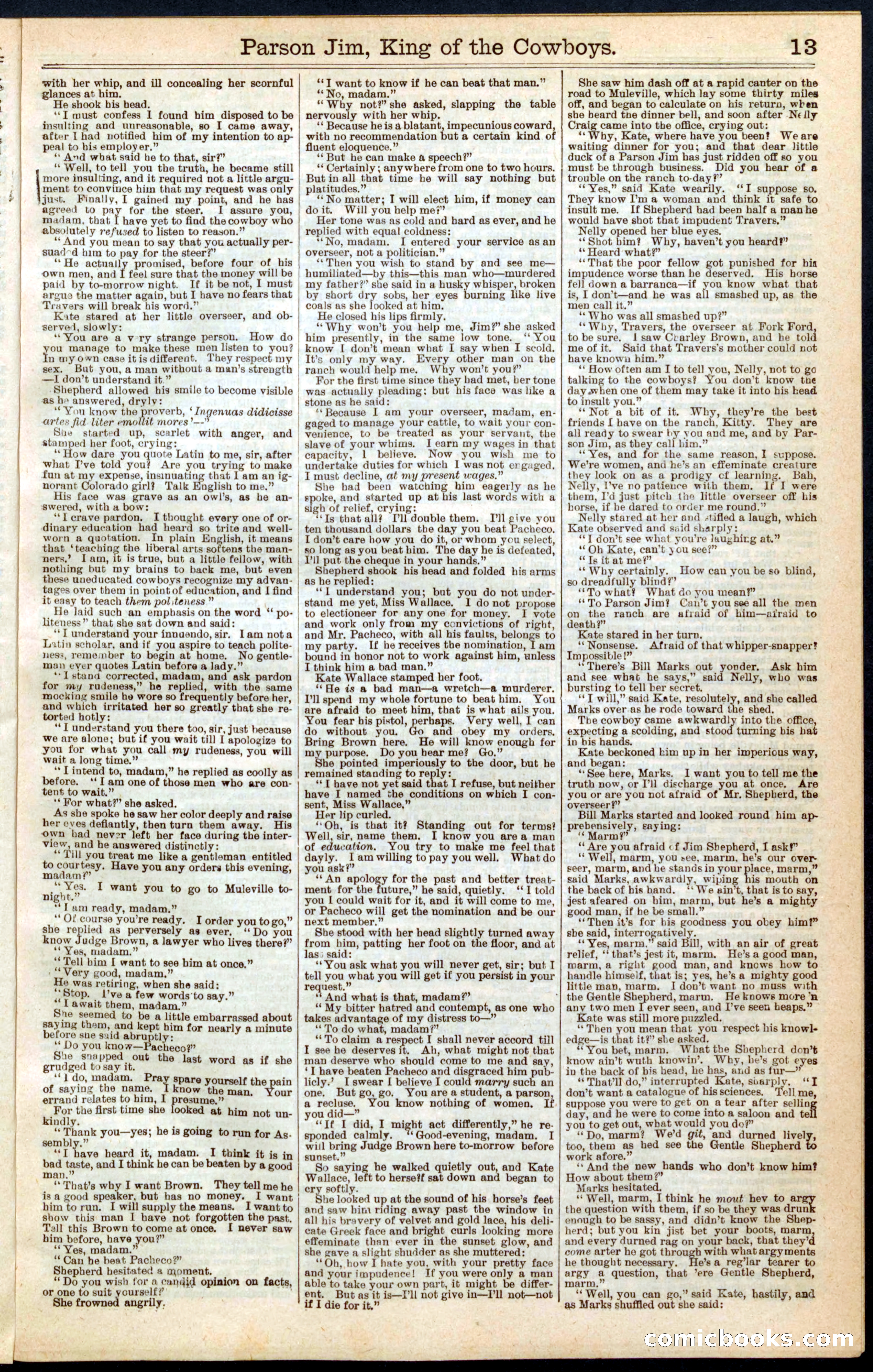 Beadle's New York Dime Library No. 215 — page 13 of 32