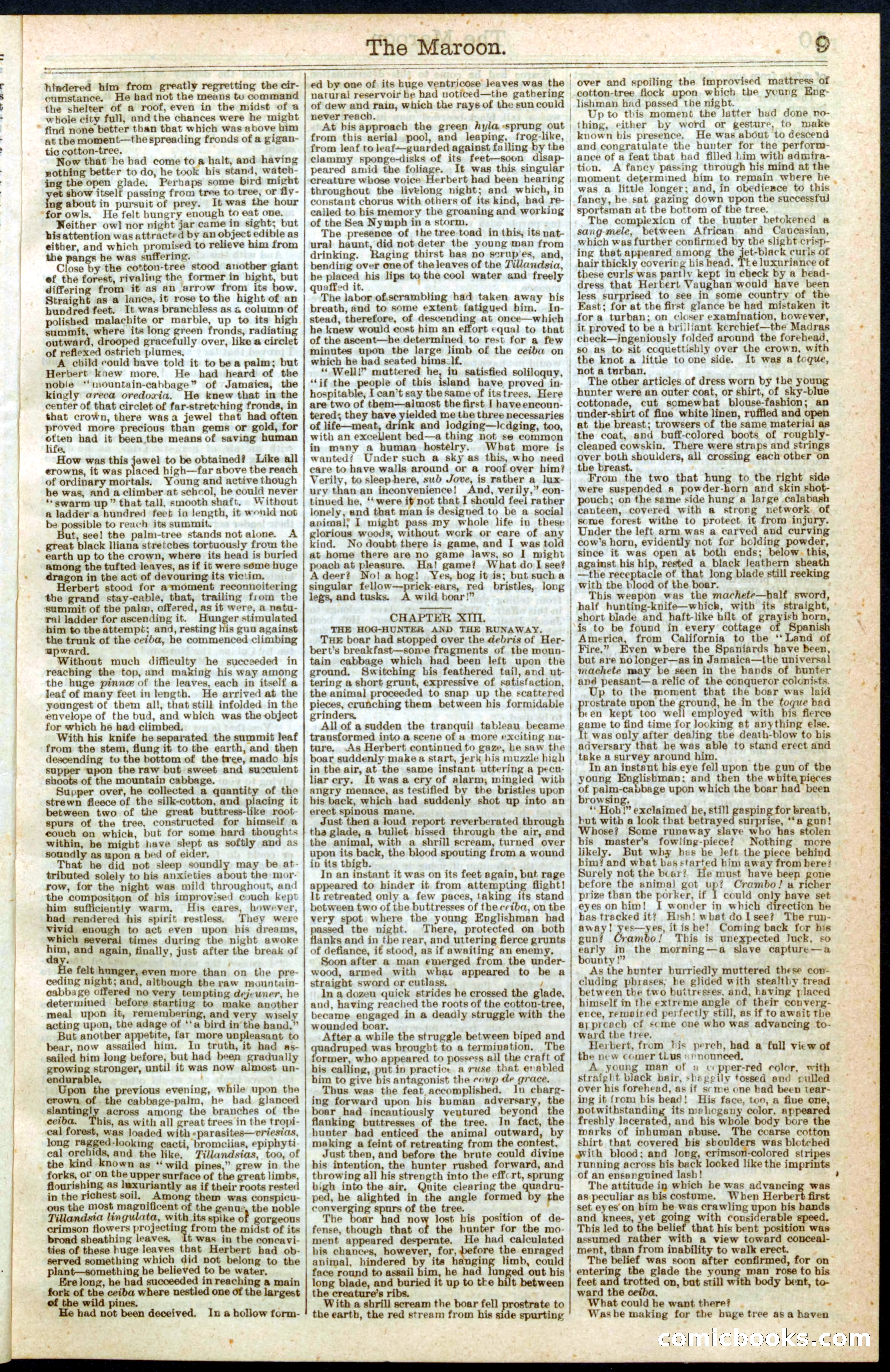 Beadle's Dime Library No. 228: The Maroon — page 9 of 32