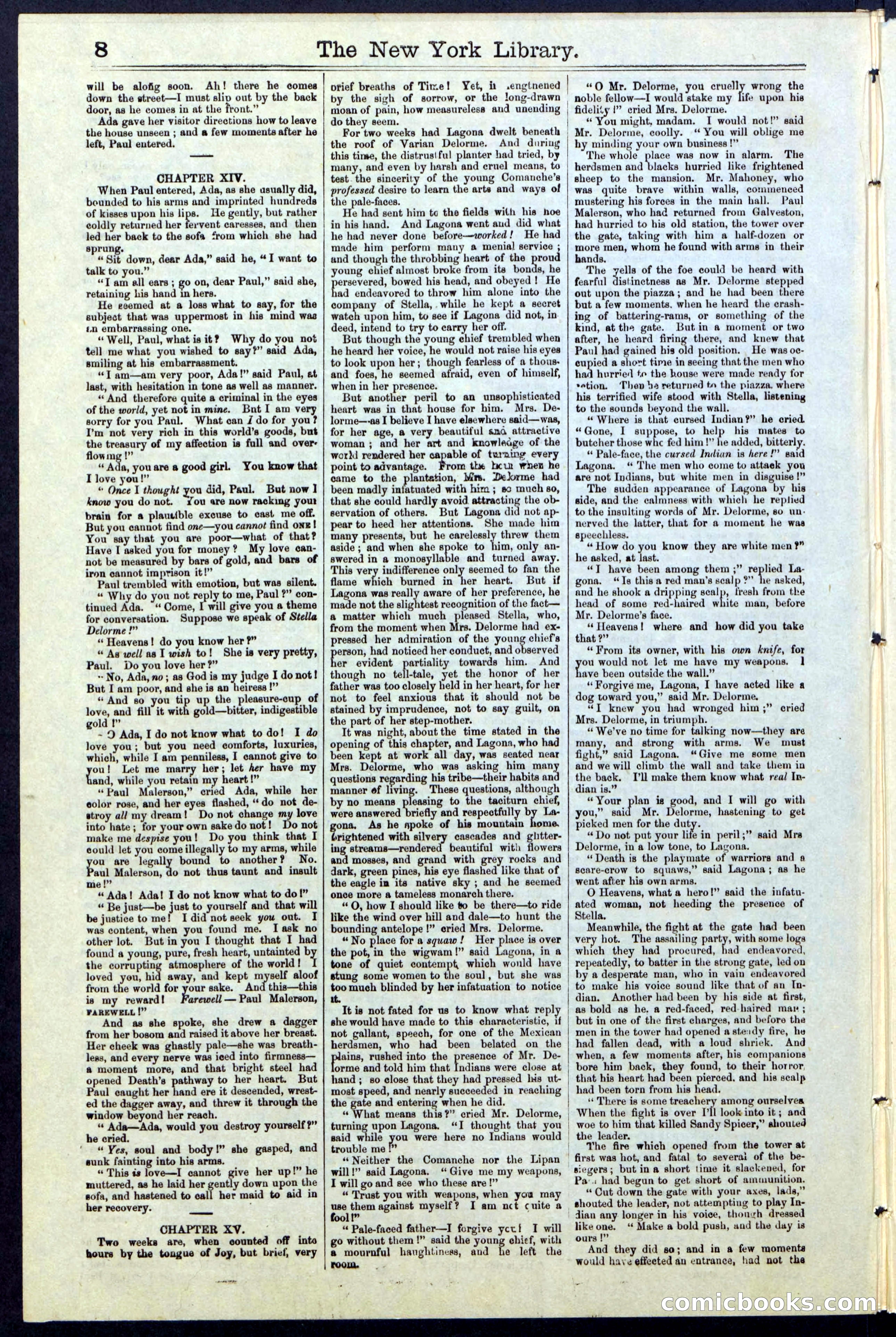 Beadle's New York Dime Library, No. 23 — page 8 of 28