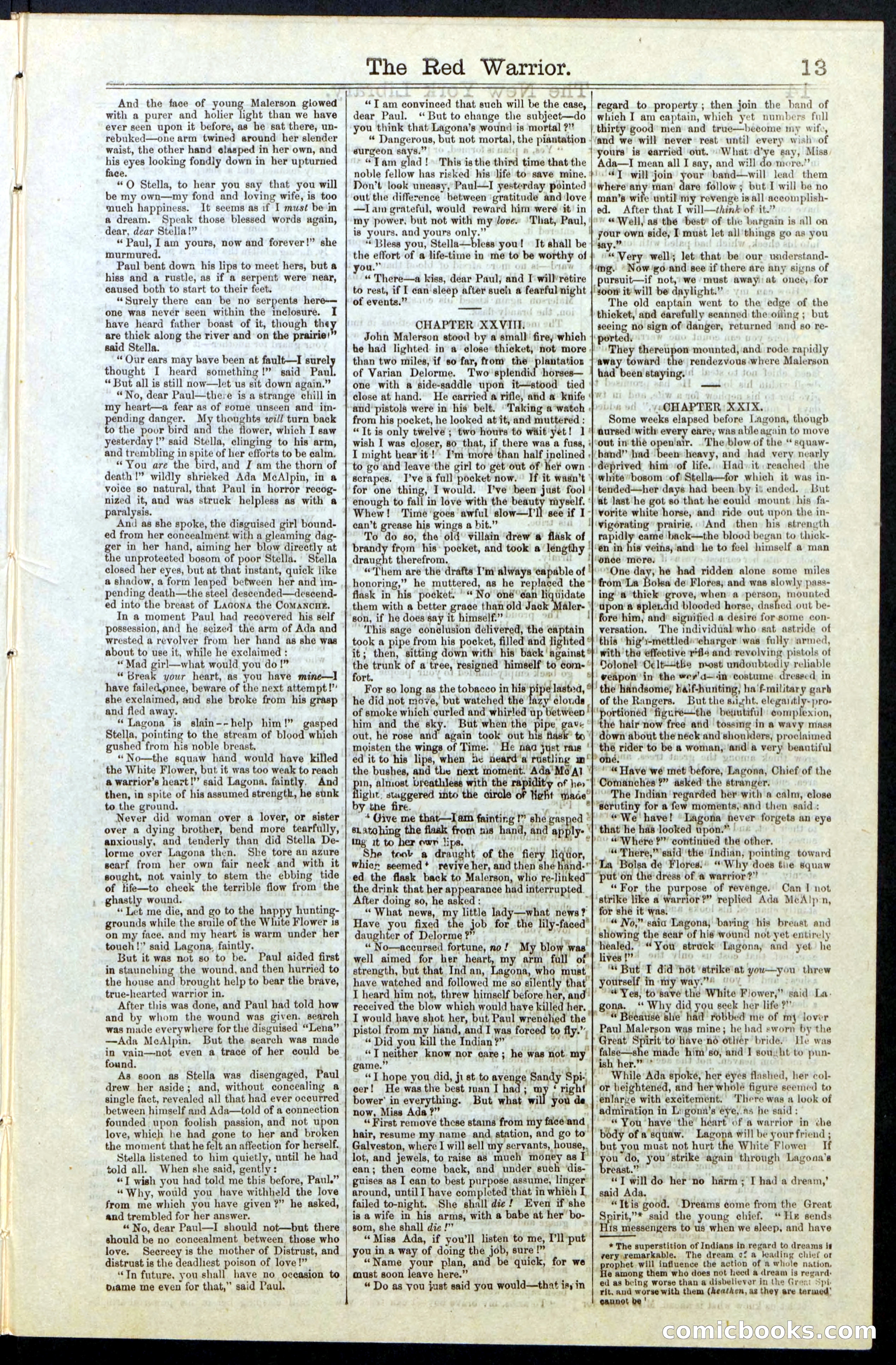 Beadle's New York Dime Library, No. 23 — page 13 of 28