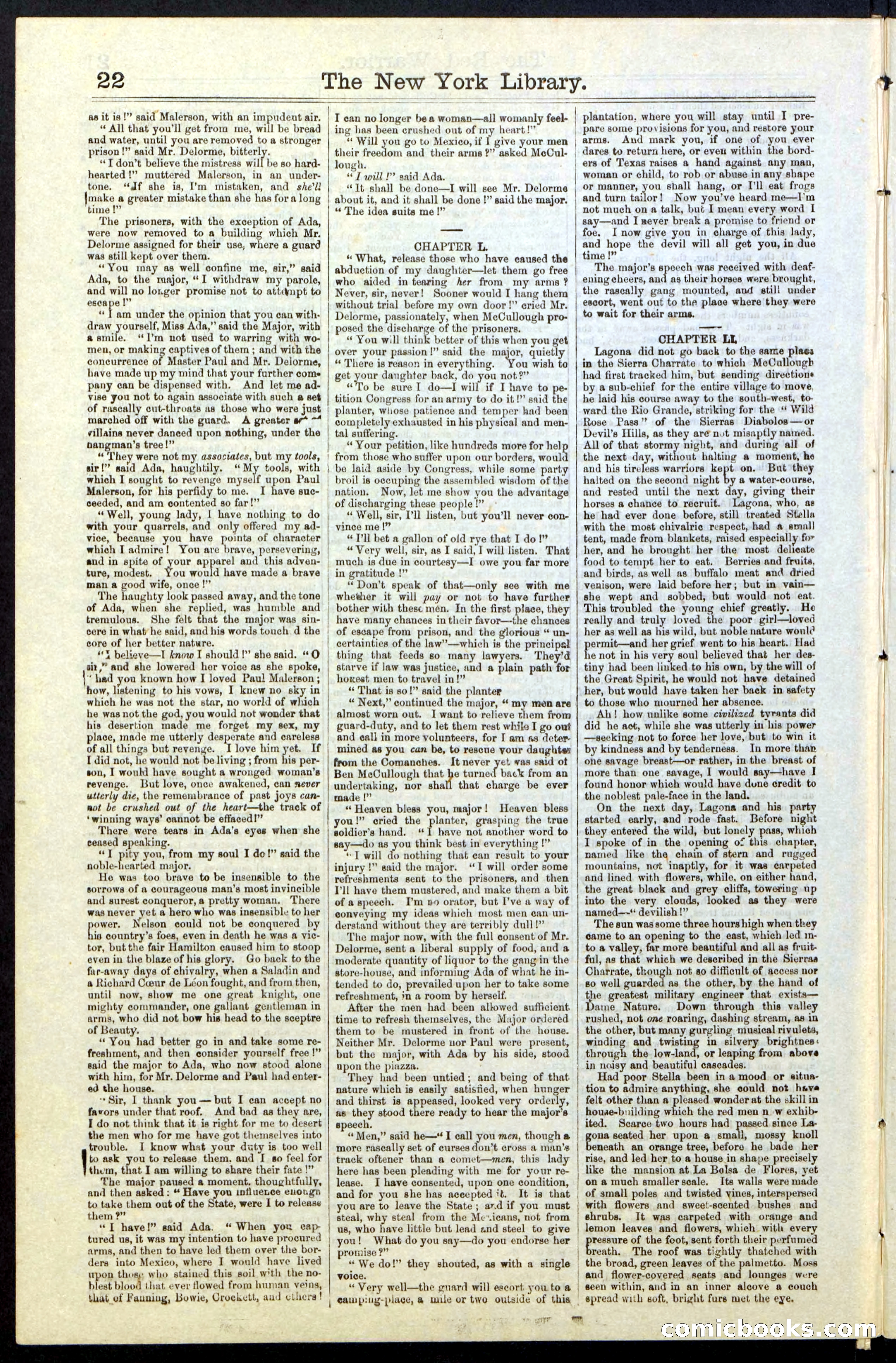 Beadle's New York Dime Library, No. 23 — page 22 of 28