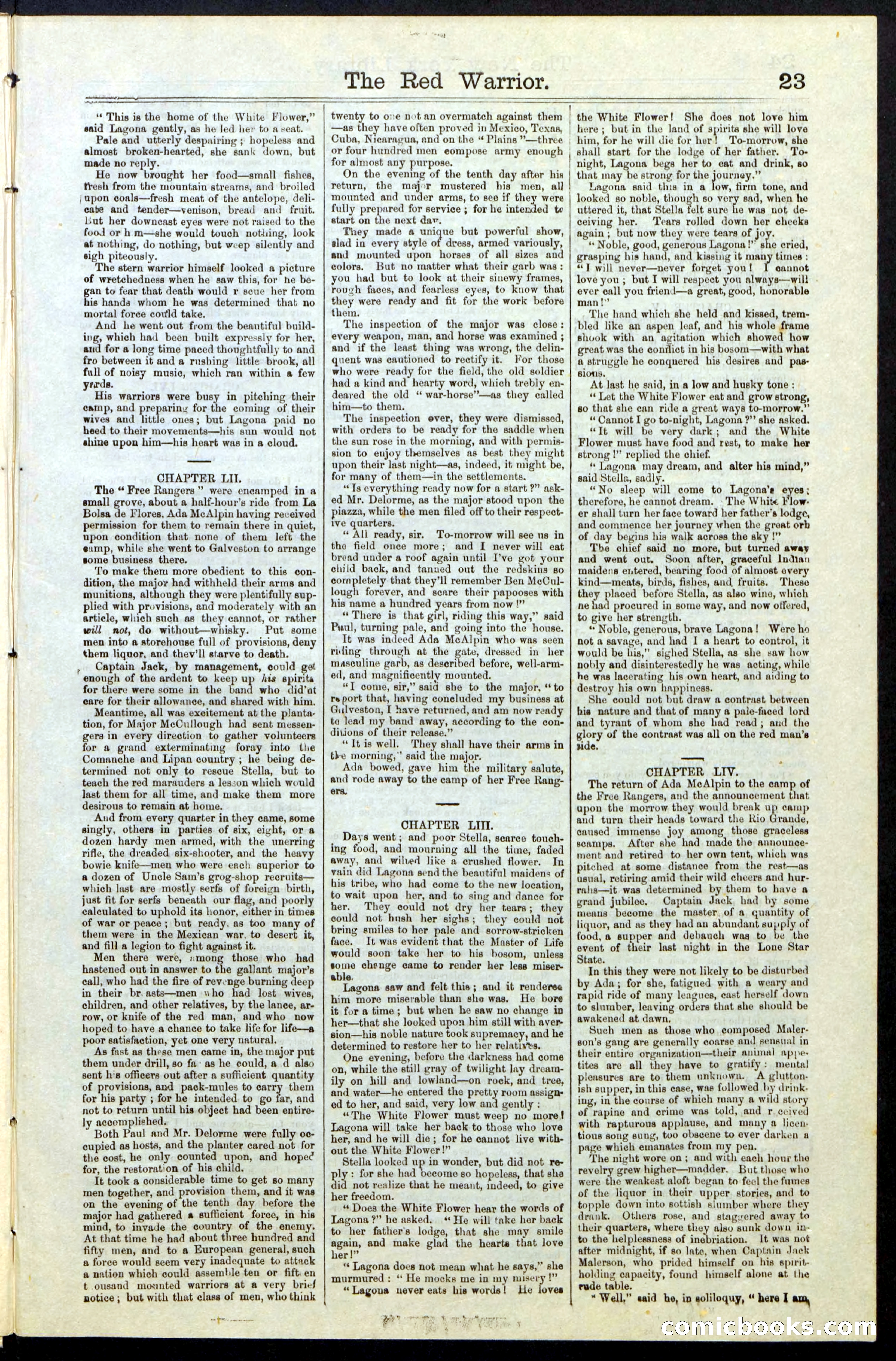 Beadle's New York Dime Library, No. 23 — page 23 of 28