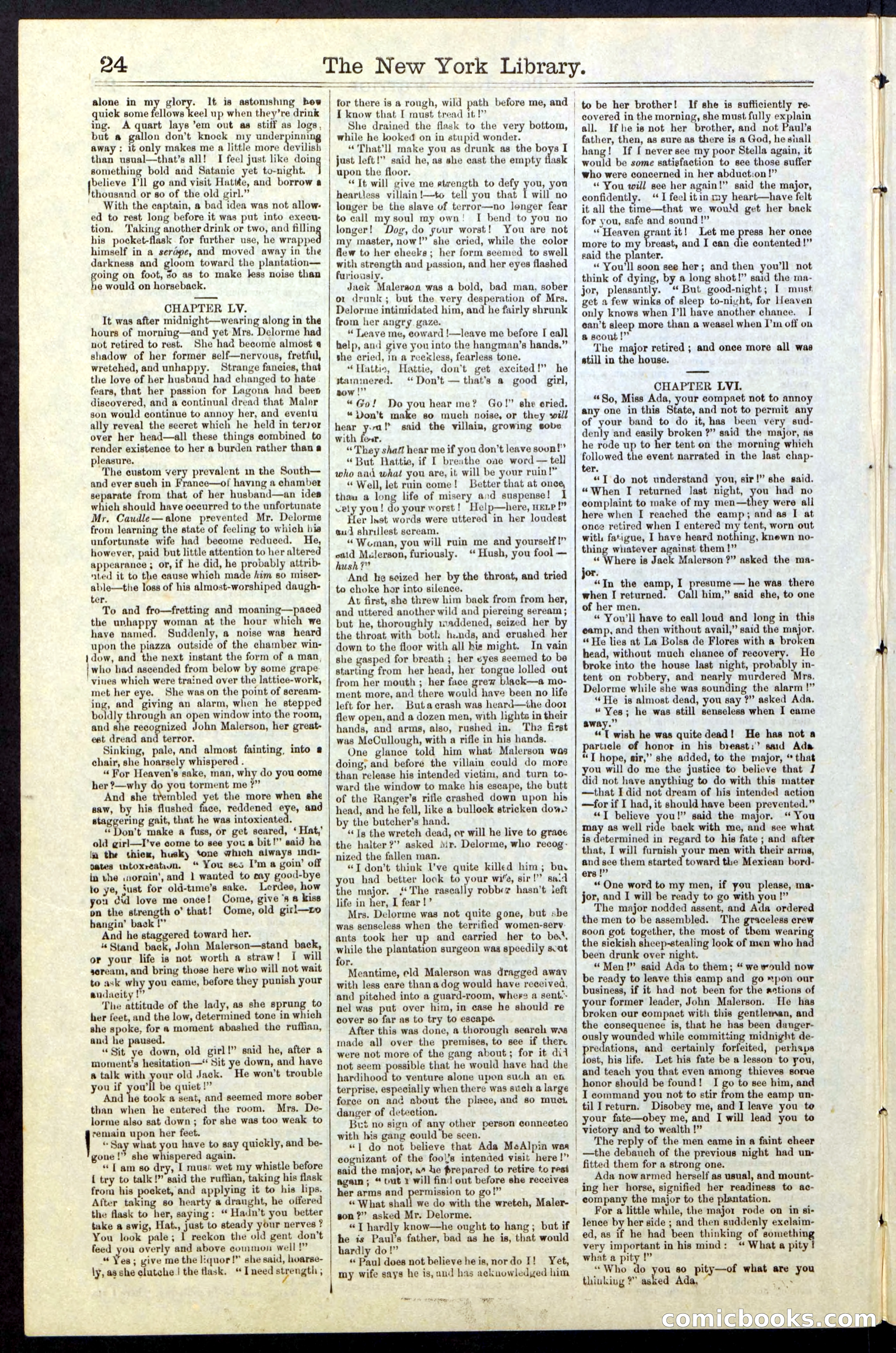 Beadle's New York Dime Library, No. 23 — page 24 of 28