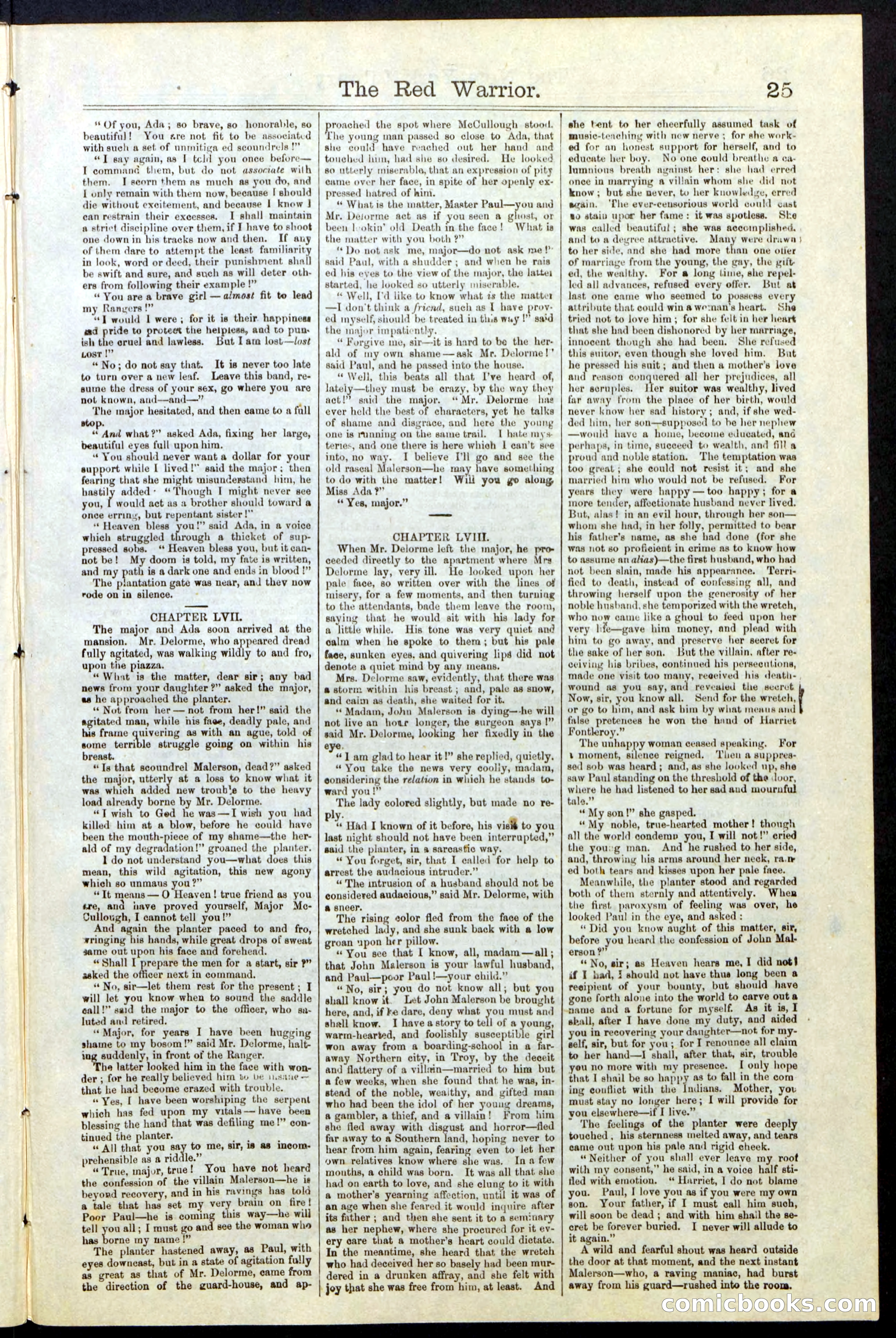 Beadle's New York Dime Library, No. 23 — page 25 of 28