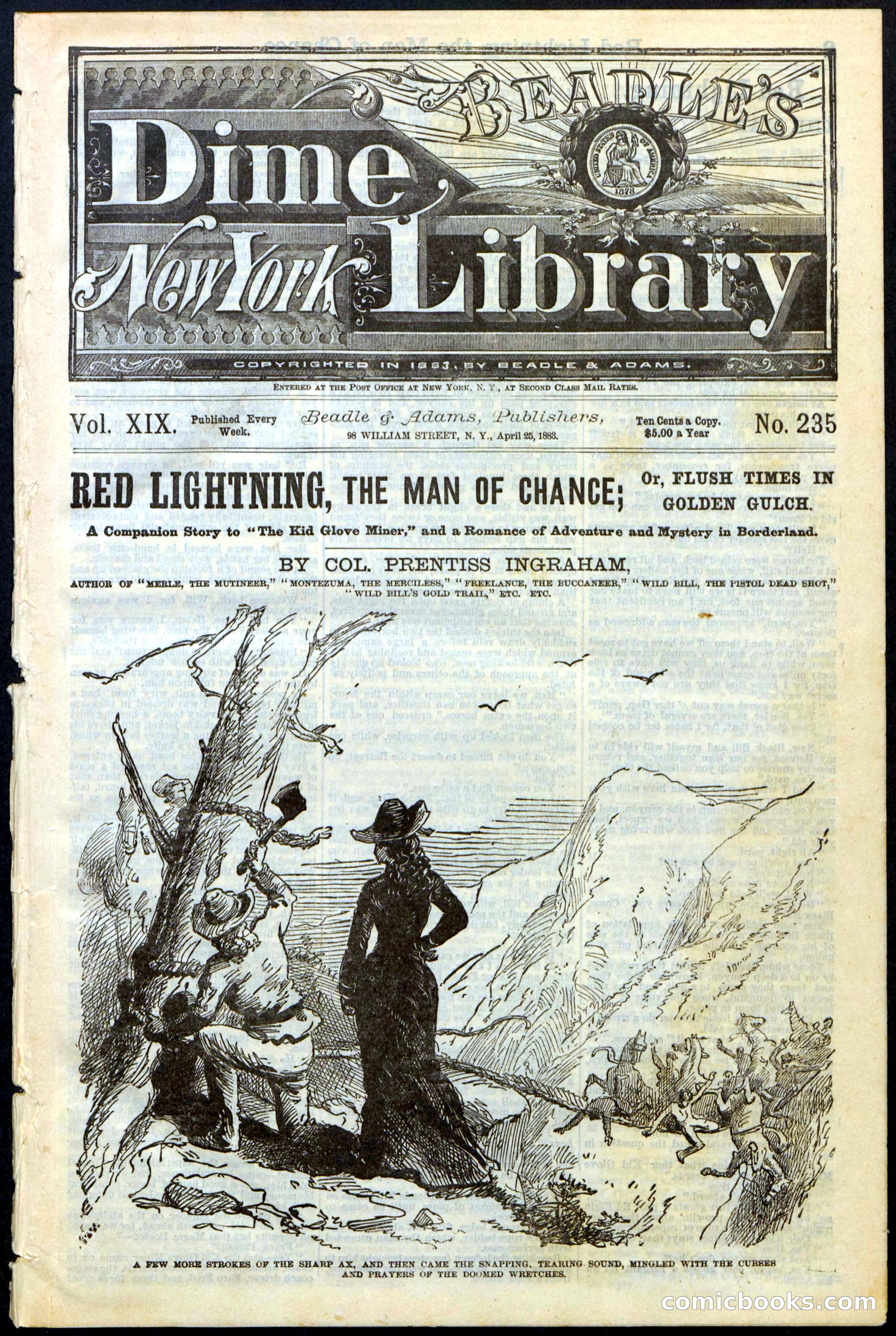 Beadle's New York Dime Library, No. 235 — page 1 of 24