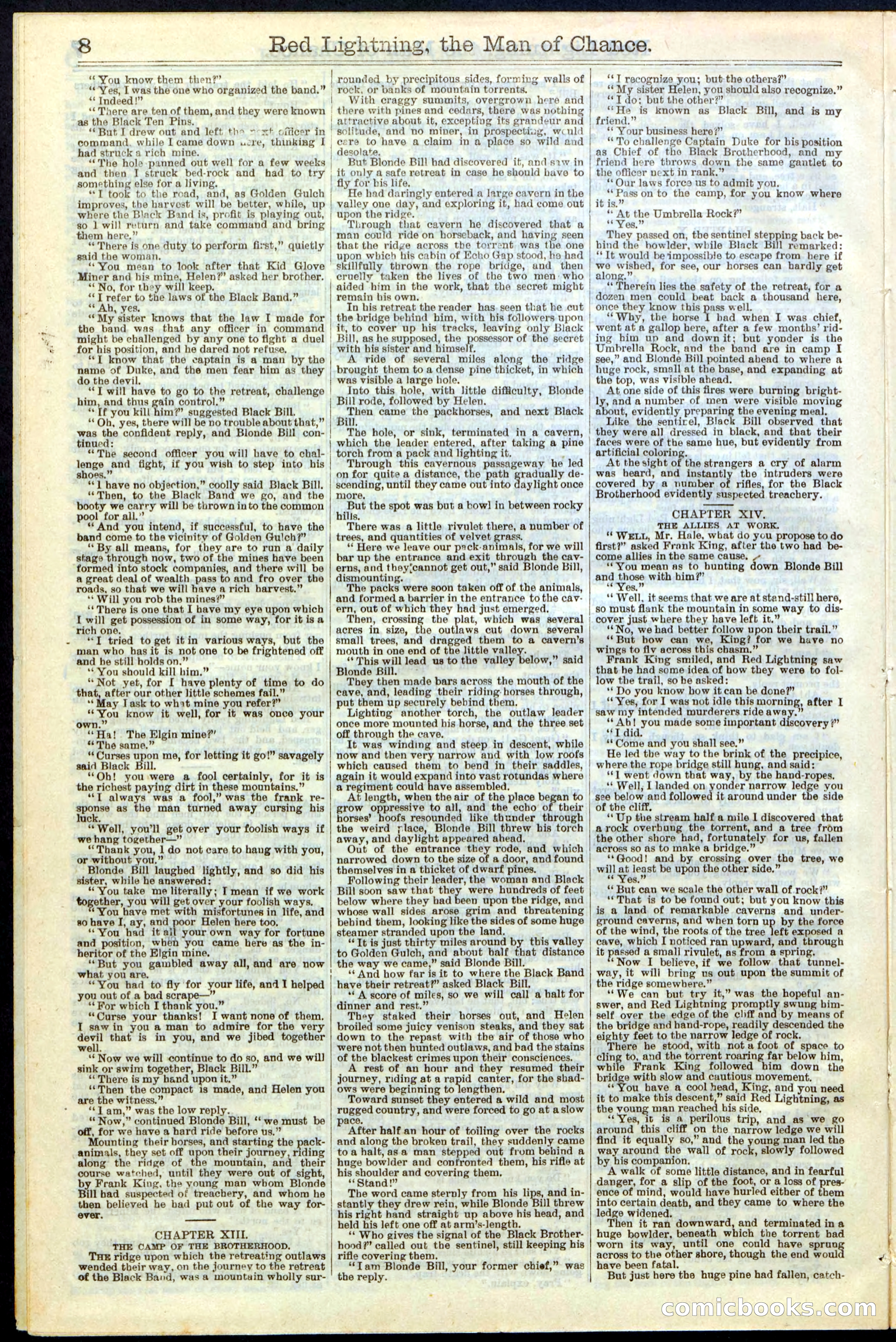 Beadle's New York Dime Library, No. 235 — page 8 of 24