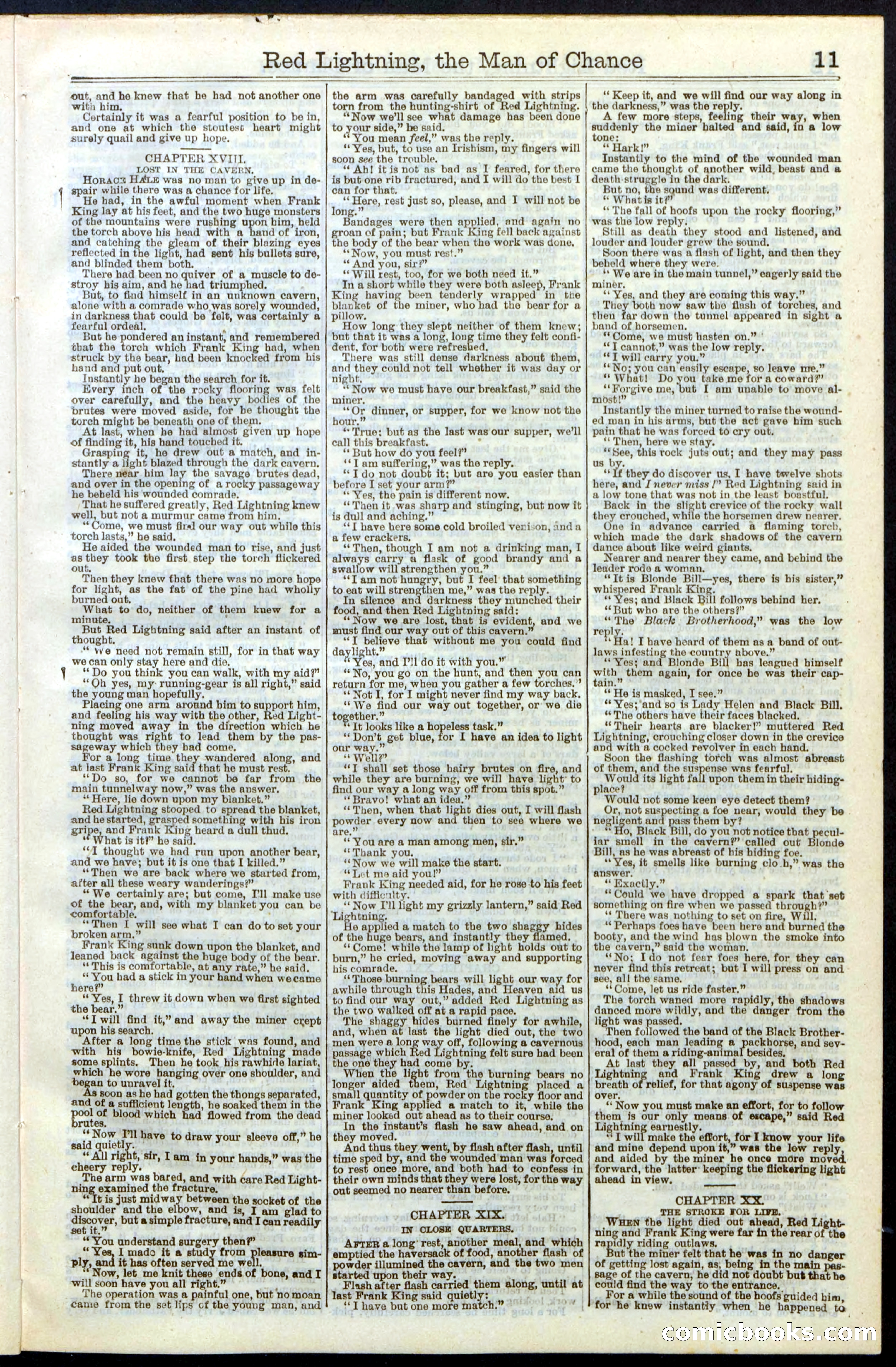 Beadle's New York Dime Library, No. 235 — page 11 of 24