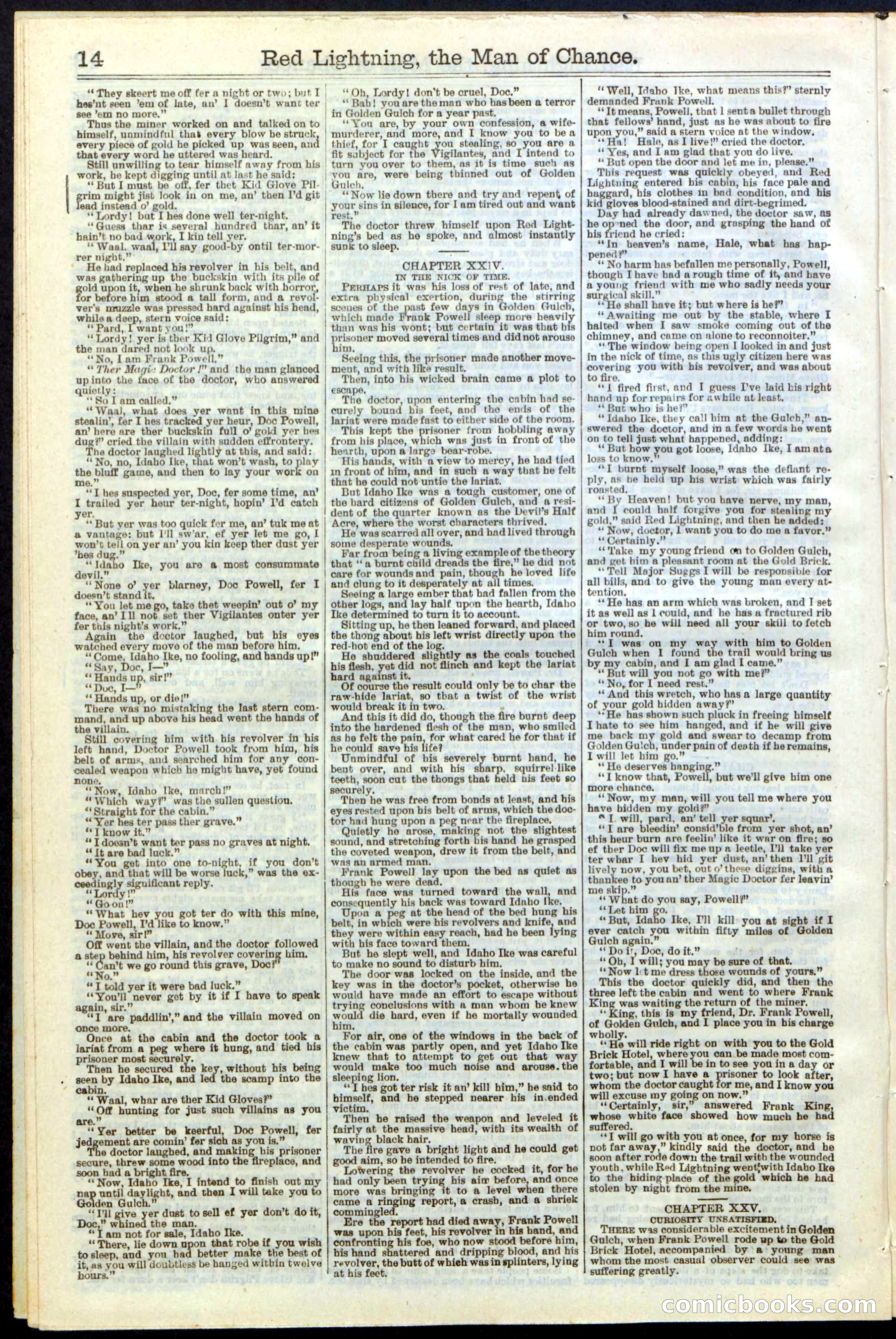 Beadle's New York Dime Library, No. 235 — page 14 of 24