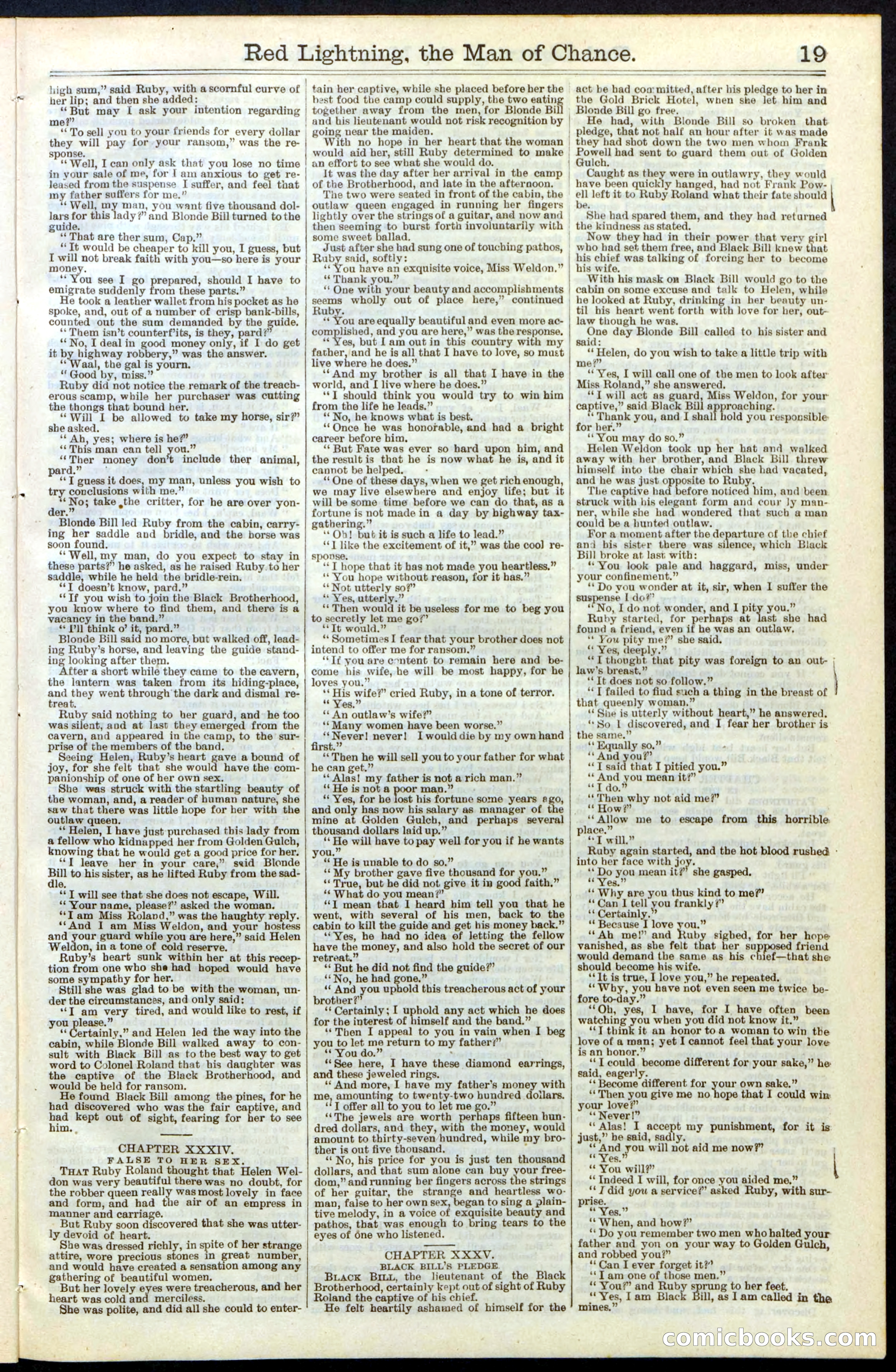 Beadle's New York Dime Library, No. 235 — page 19 of 24