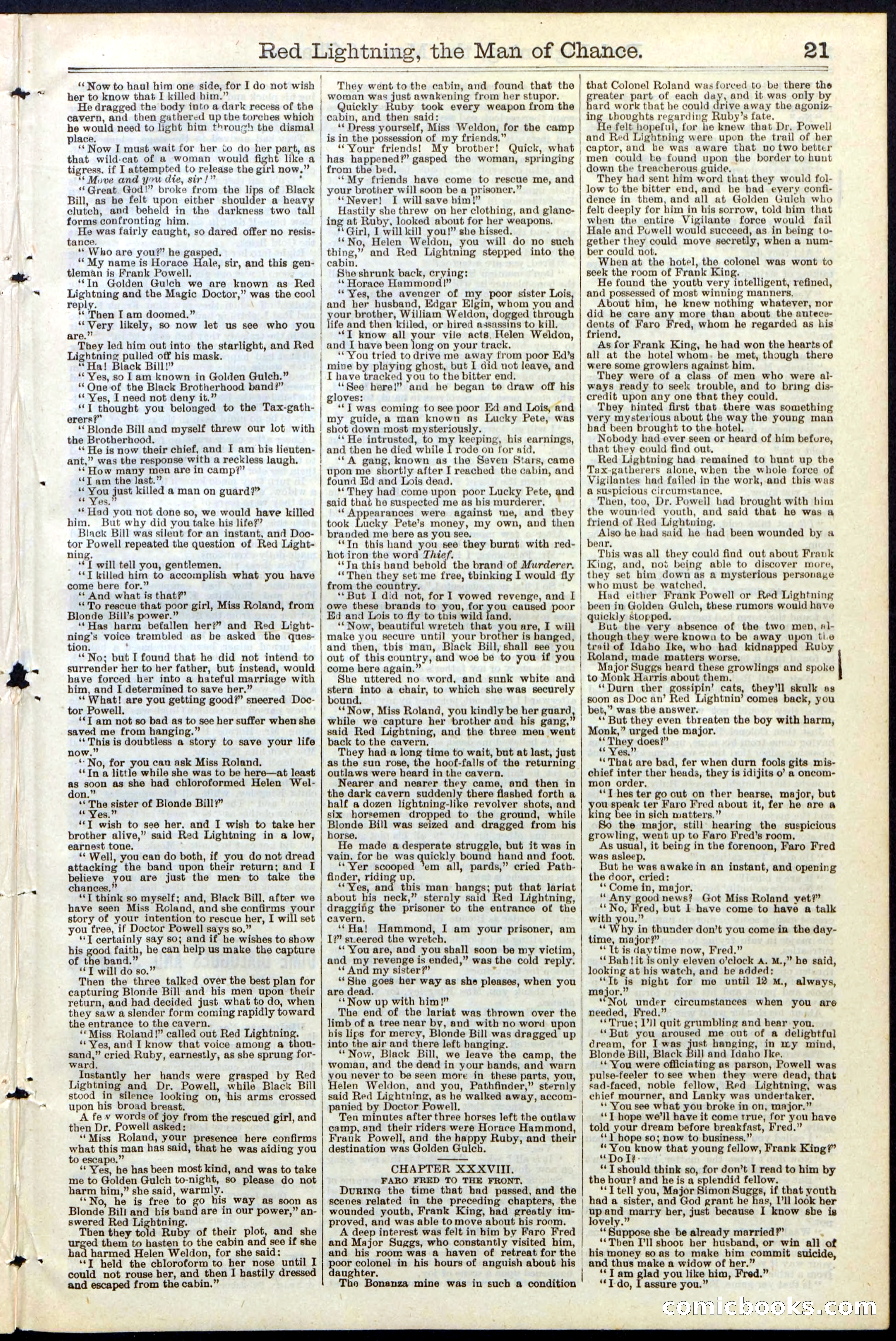 Beadle's New York Dime Library, No. 235 — page 21 of 24