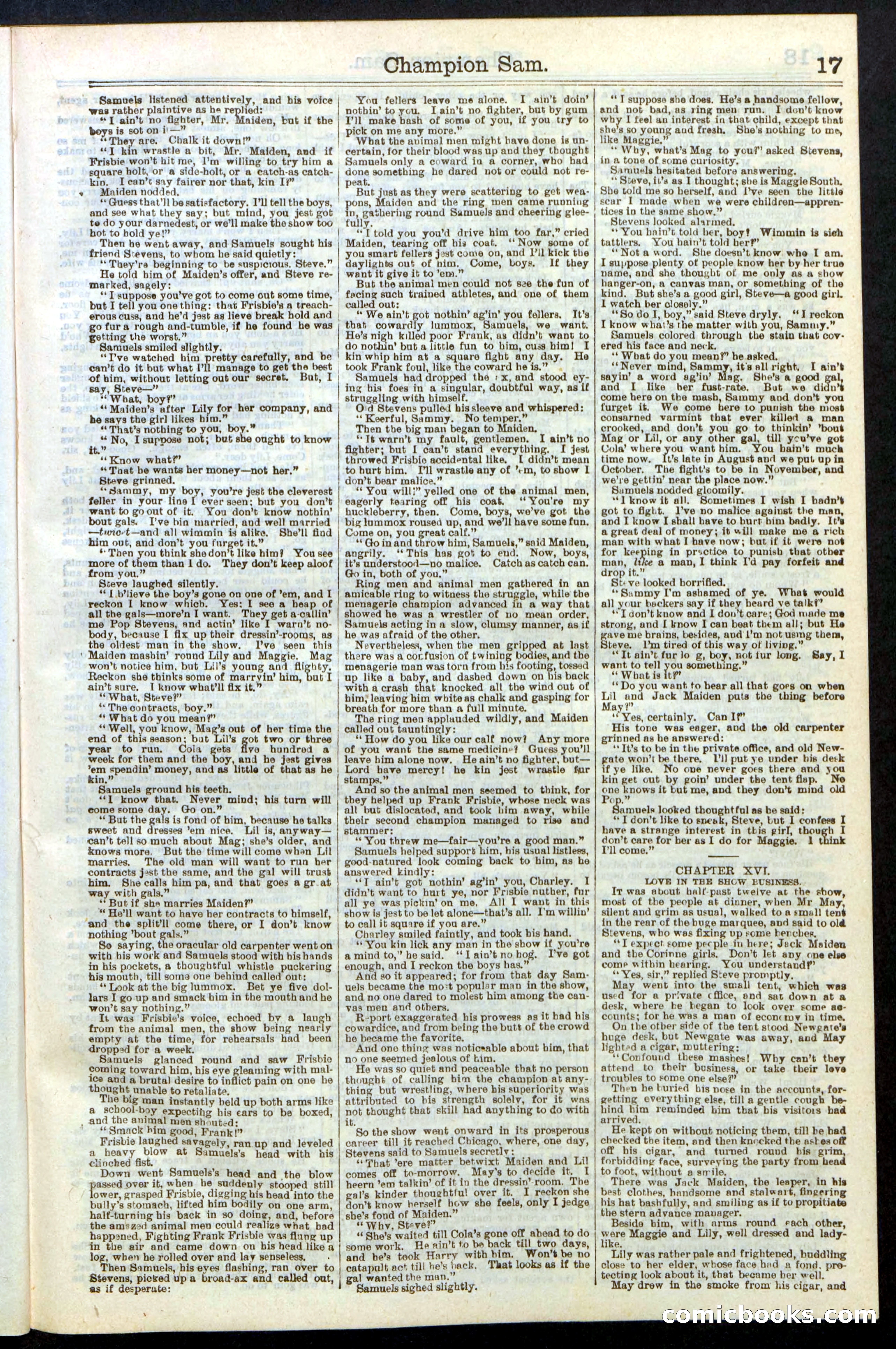 Beadle's Dime Library No. 236 — page 17 of 32