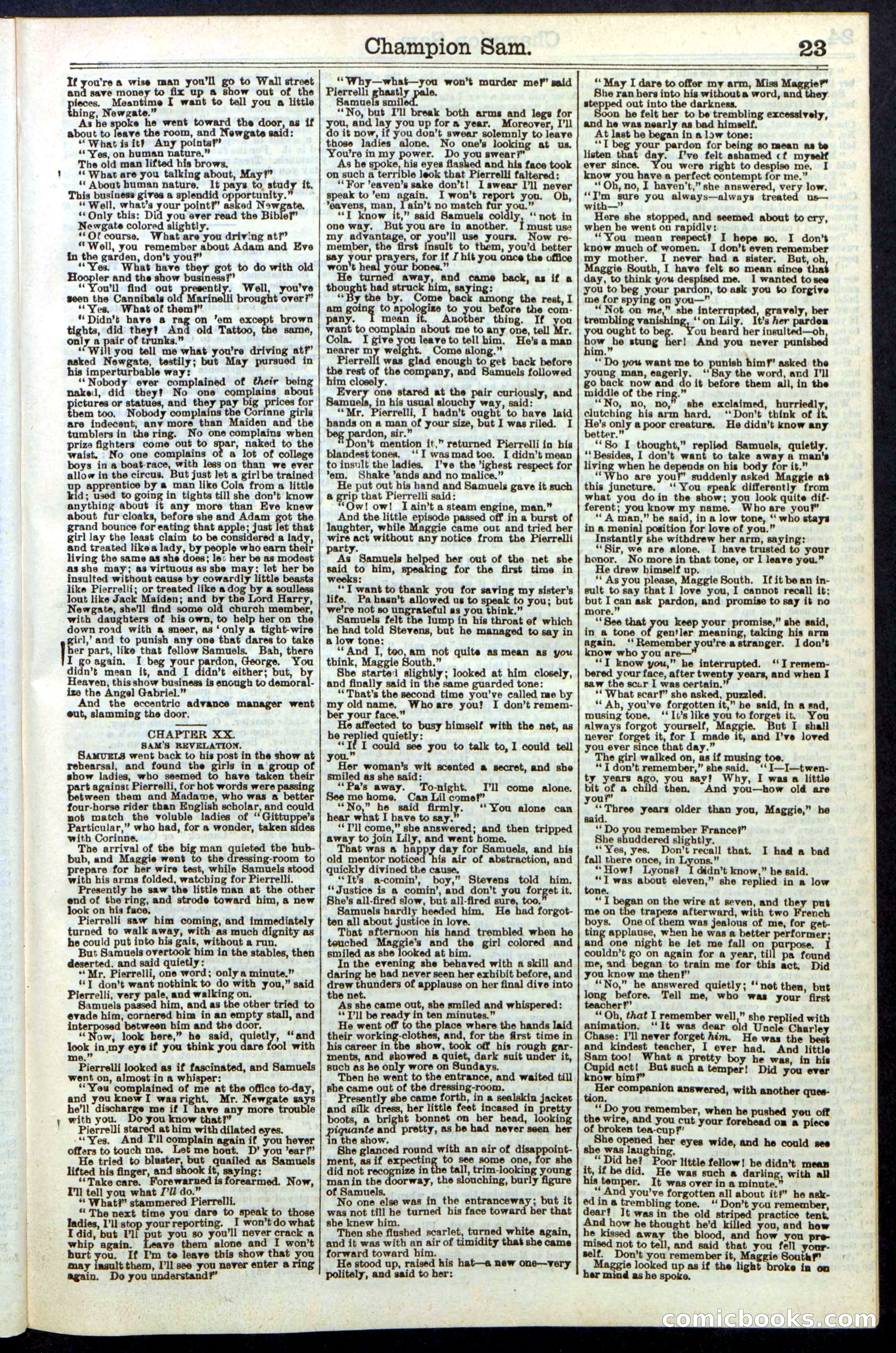 Beadle's Dime Library No. 236 — page 23 of 32