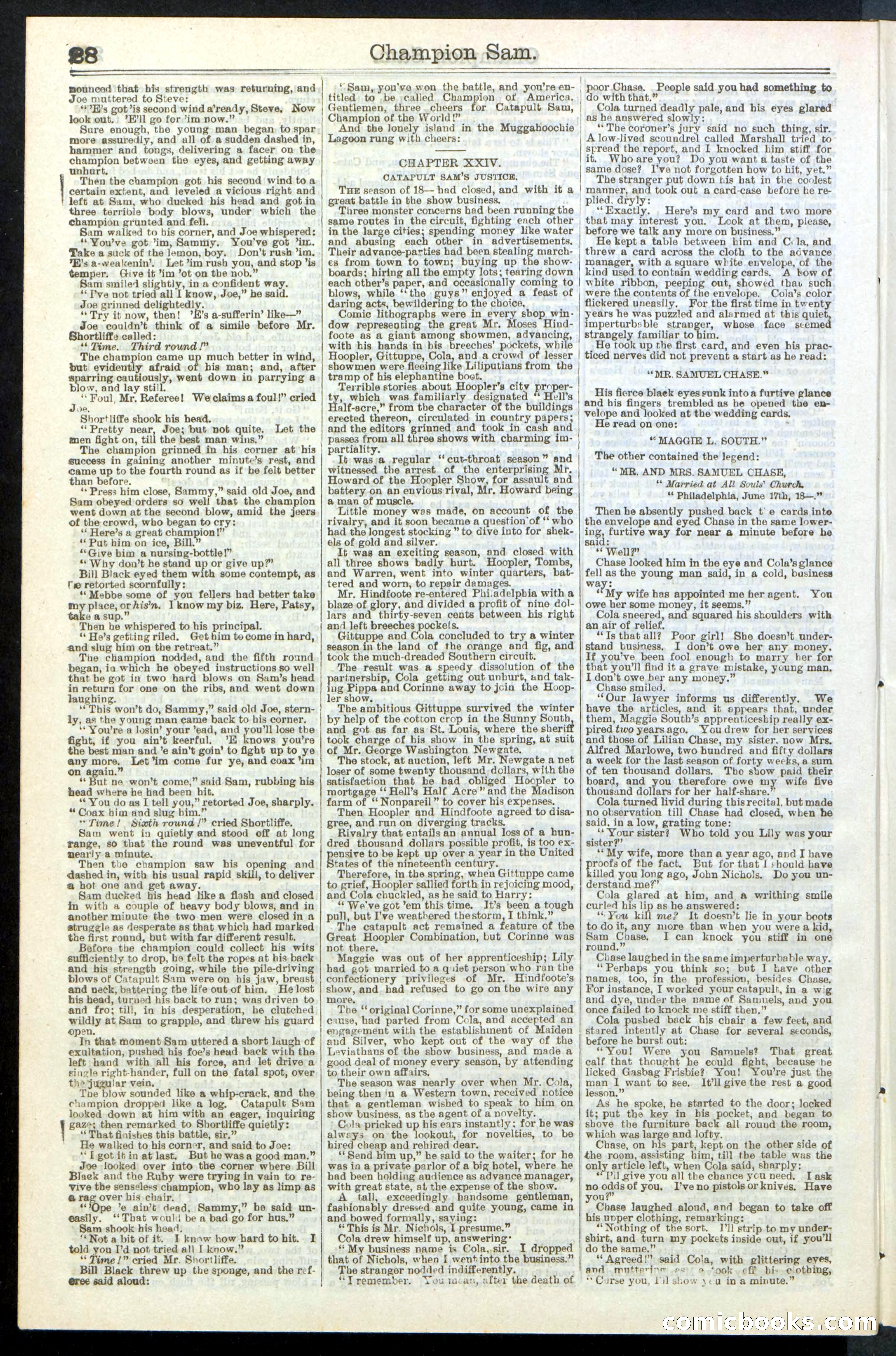 Beadle's Dime Library No. 236 — page 28 of 32