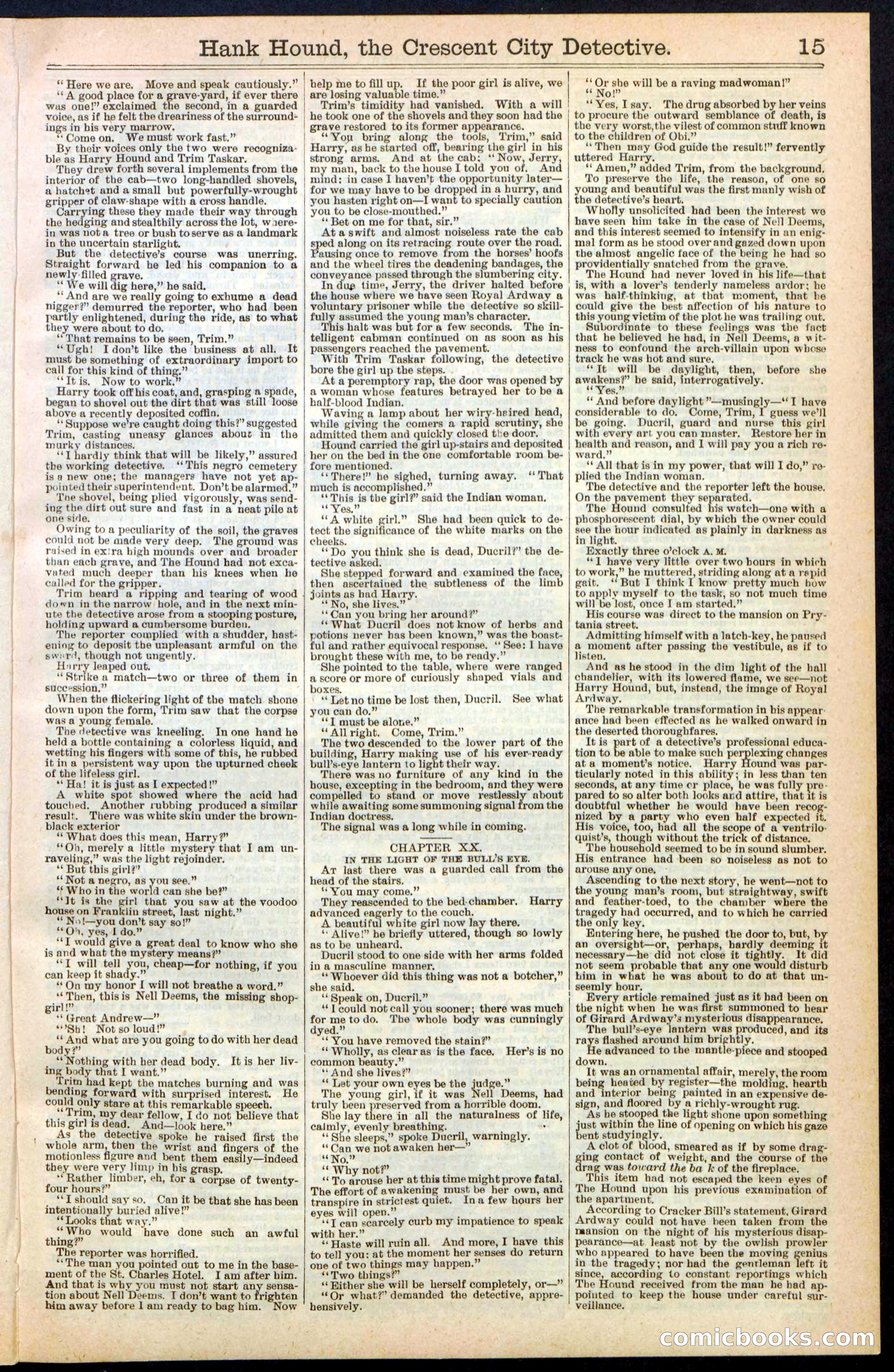Beadle's New York Dime Library, No. 238 — page 15 of 24
