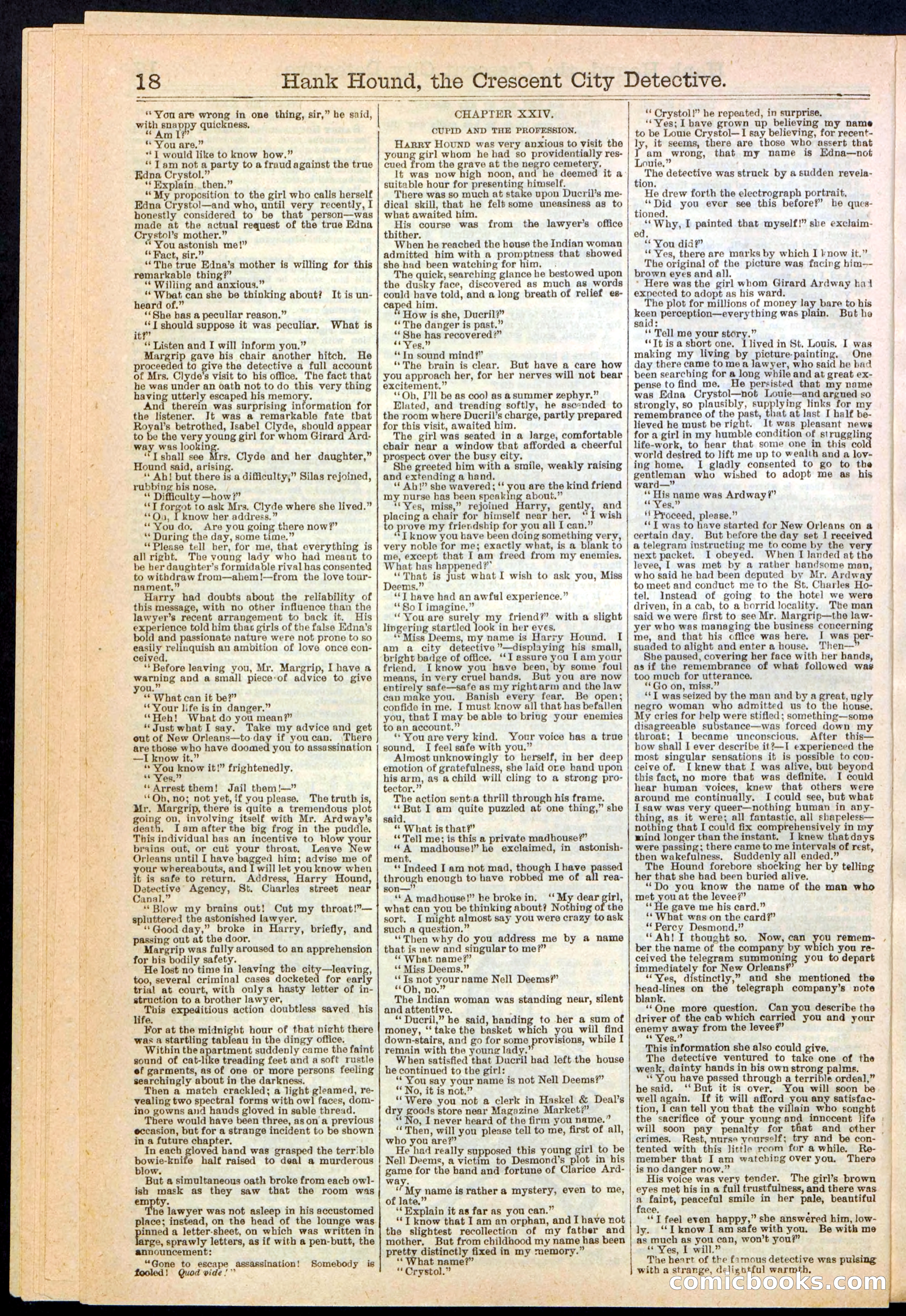 Beadle's New York Dime Library, No. 238 — page 18 of 24