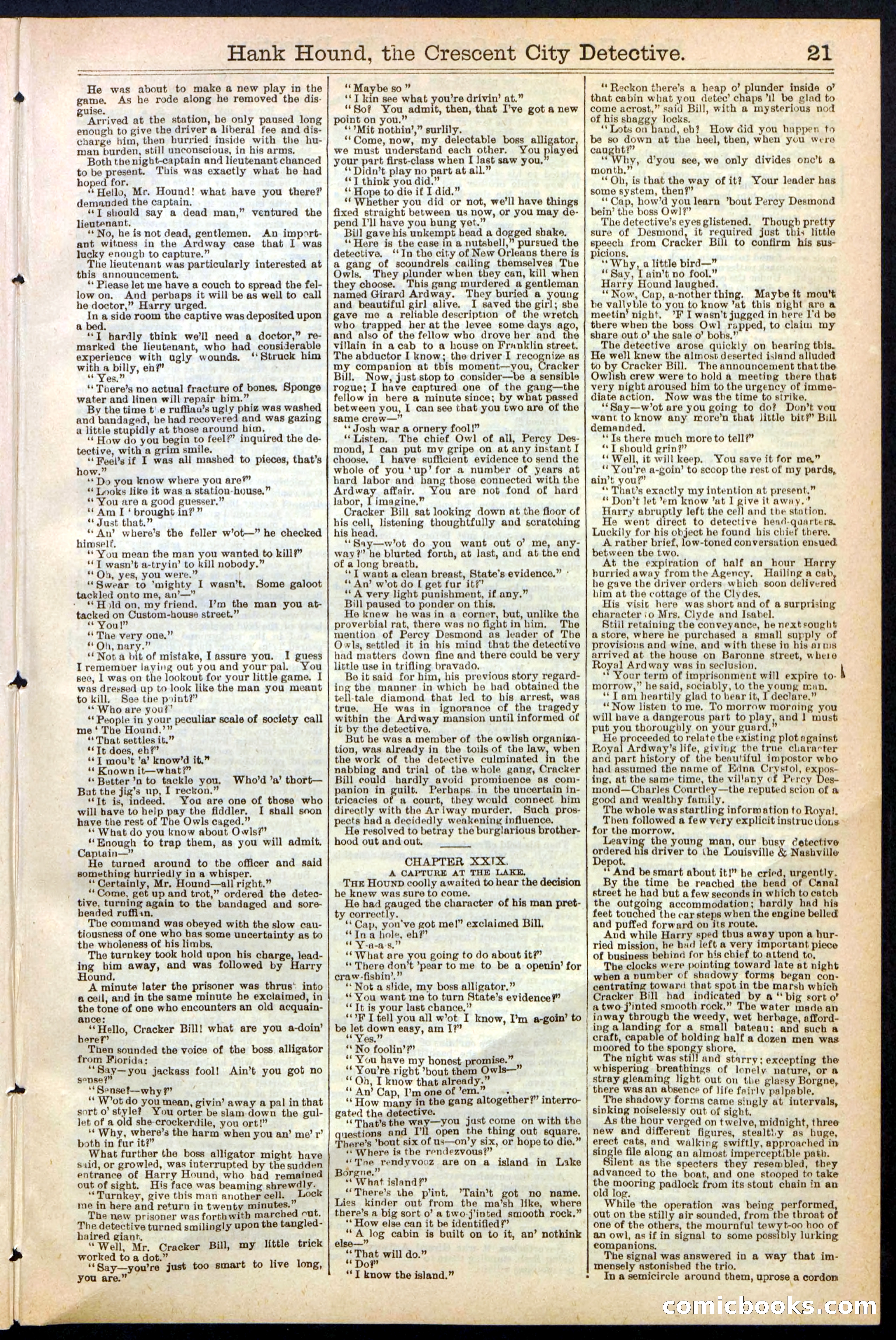 Beadle's New York Dime Library, No. 238 — page 21 of 24
