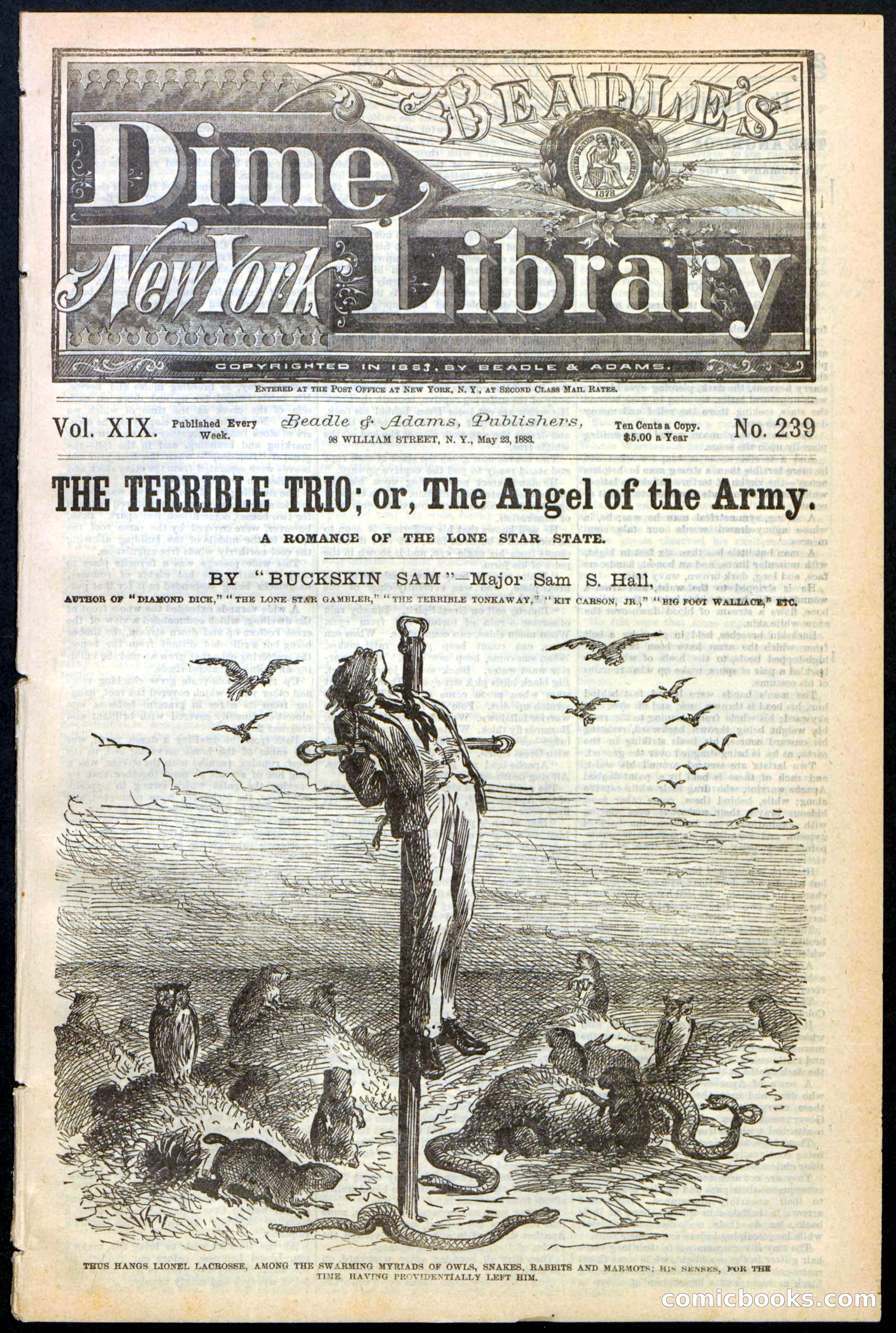 Beadle's New York Dime Library, No. 239 — page 1 of 32