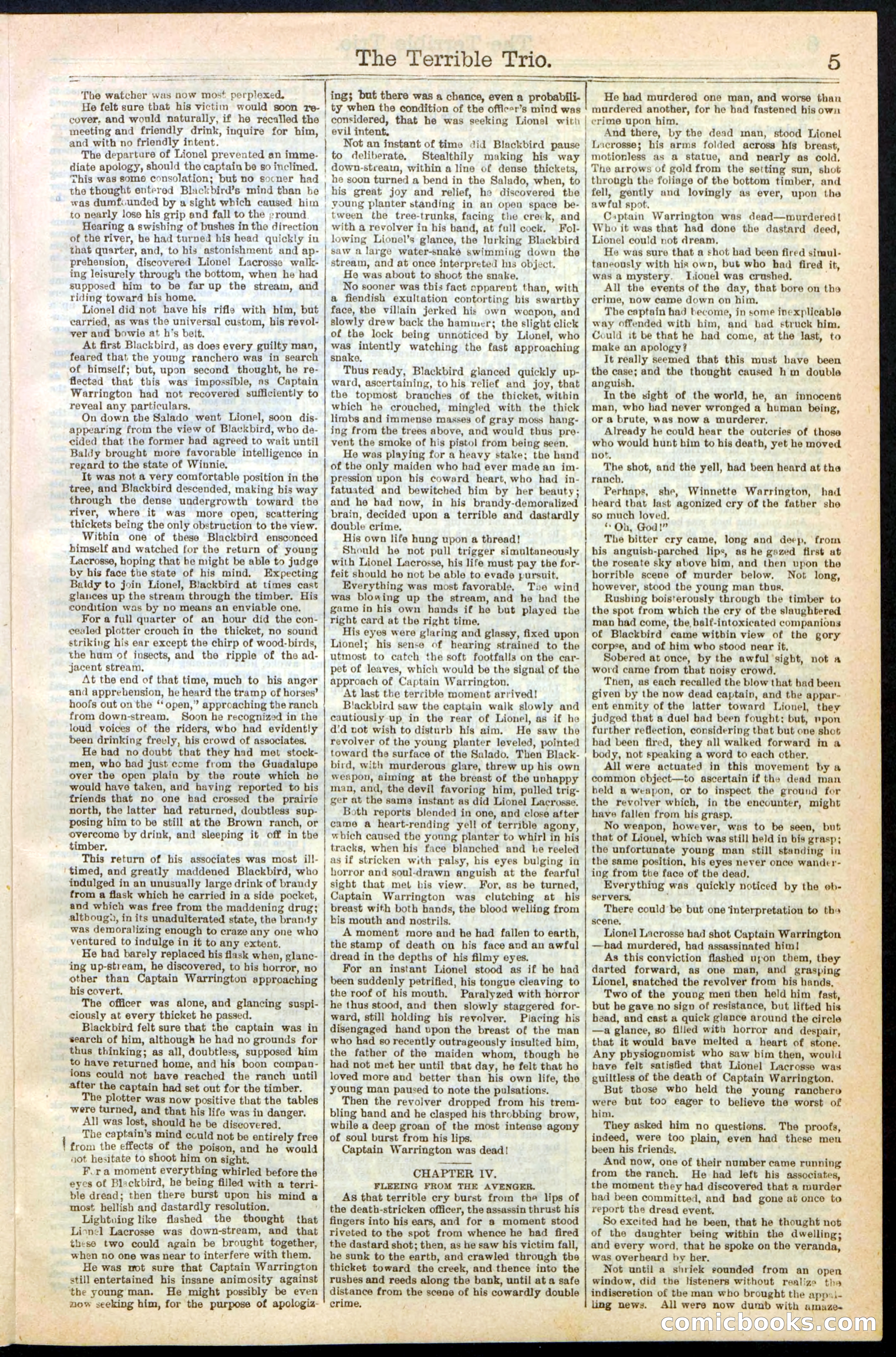Beadle's New York Dime Library, No. 239 — page 5 of 32