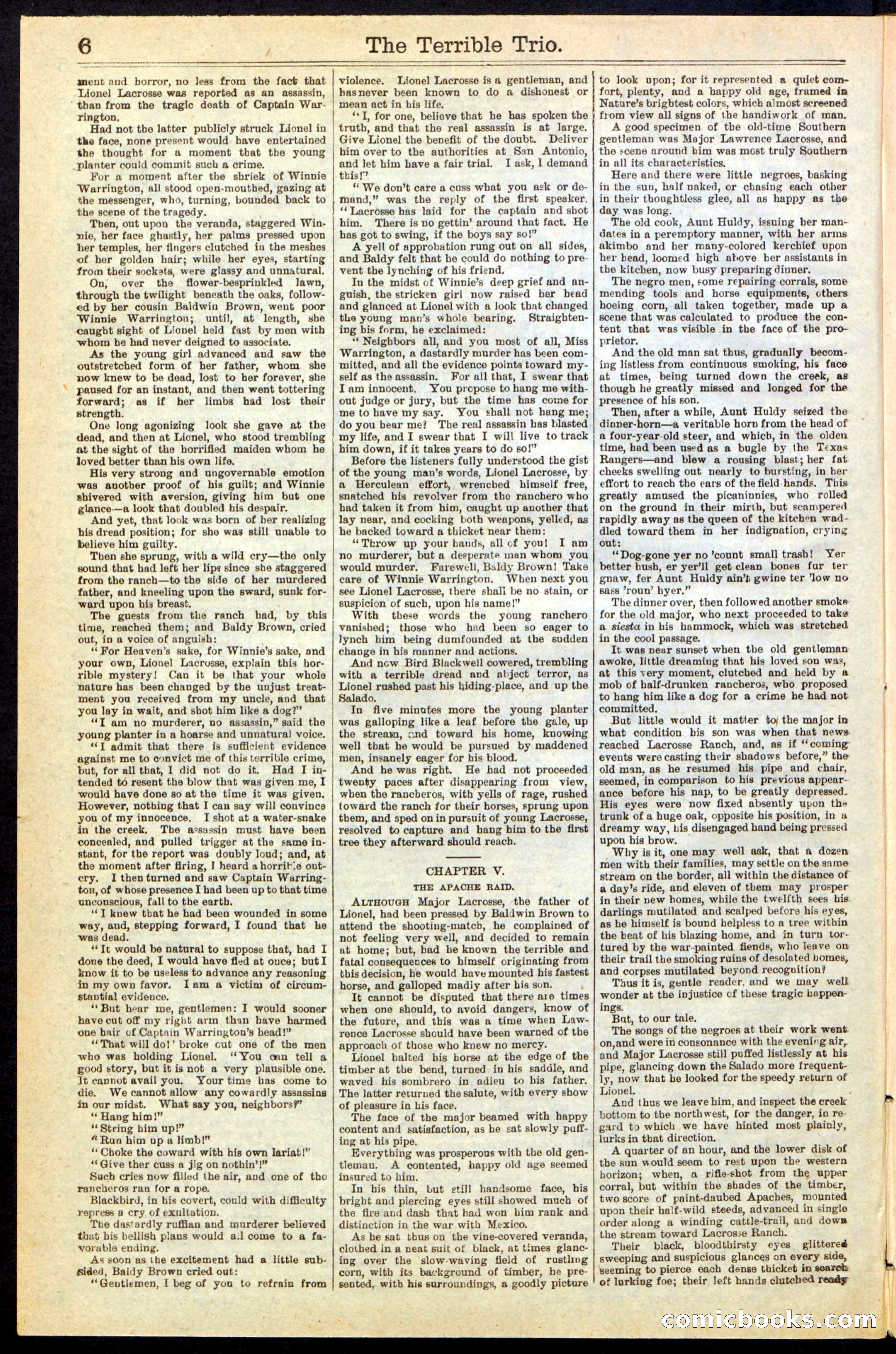 Beadle's New York Dime Library, No. 239 — page 6 of 32