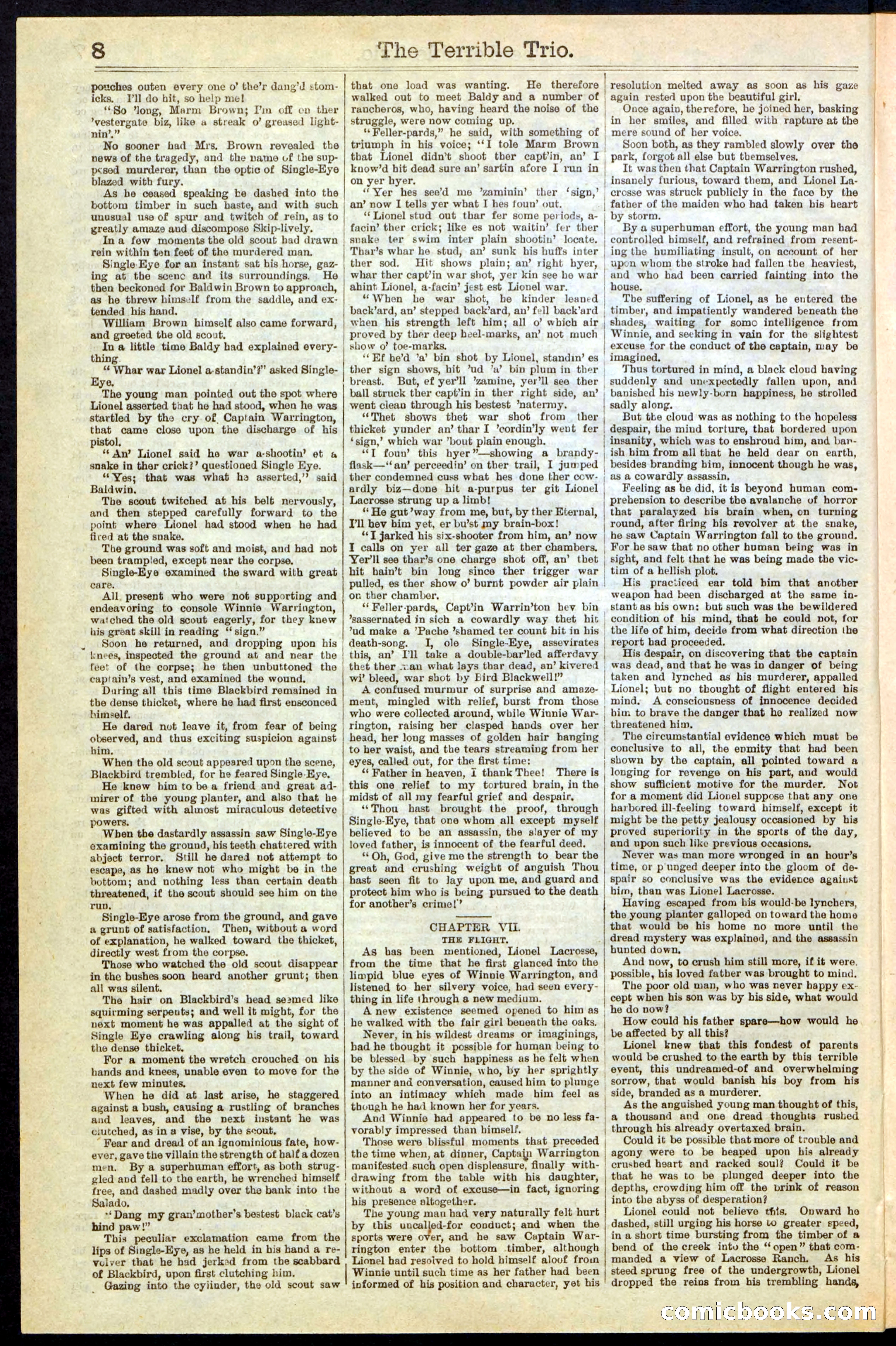 Beadle's New York Dime Library, No. 239 — page 8 of 32