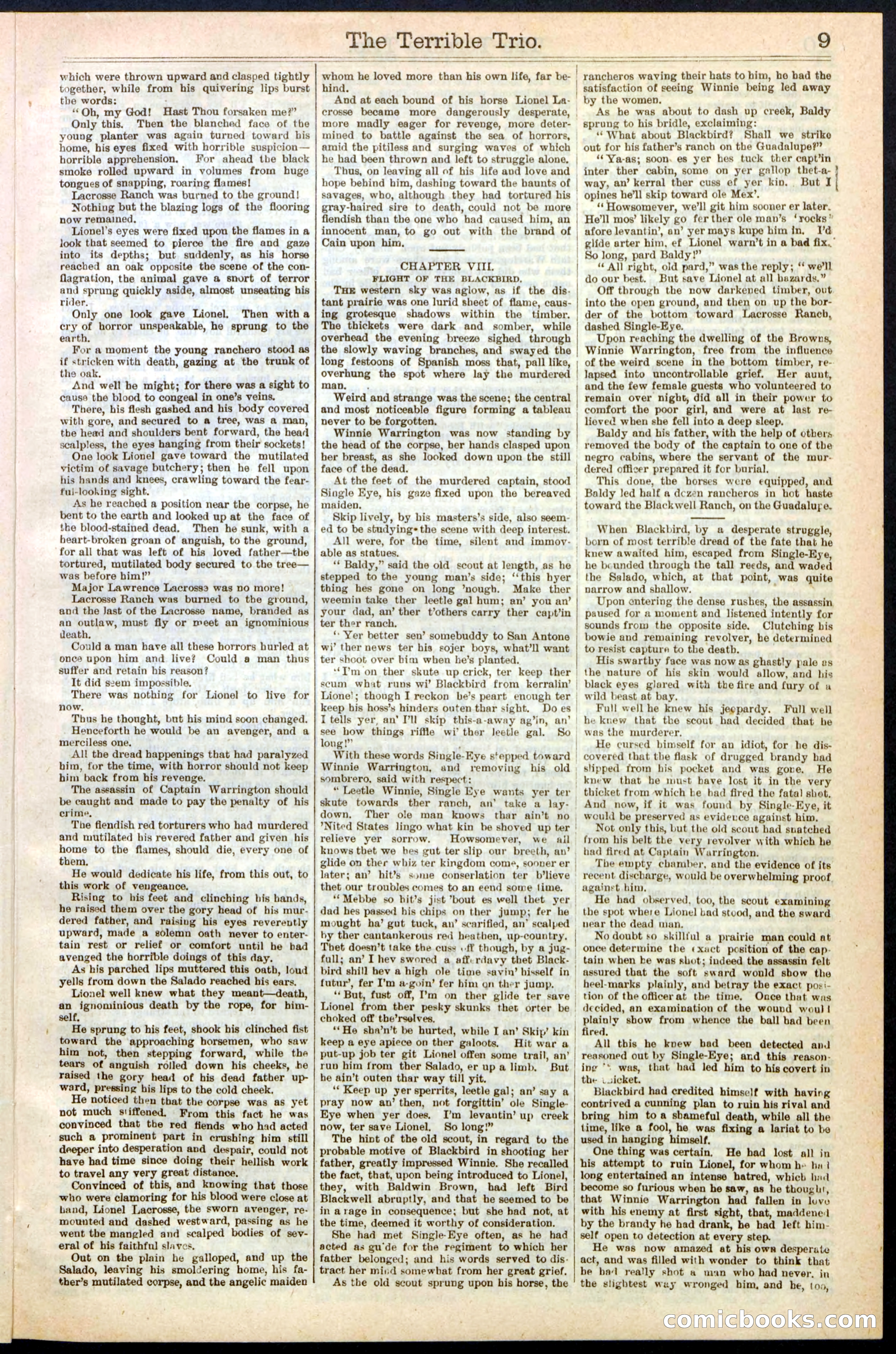 Beadle's New York Dime Library, No. 239 — page 9 of 32