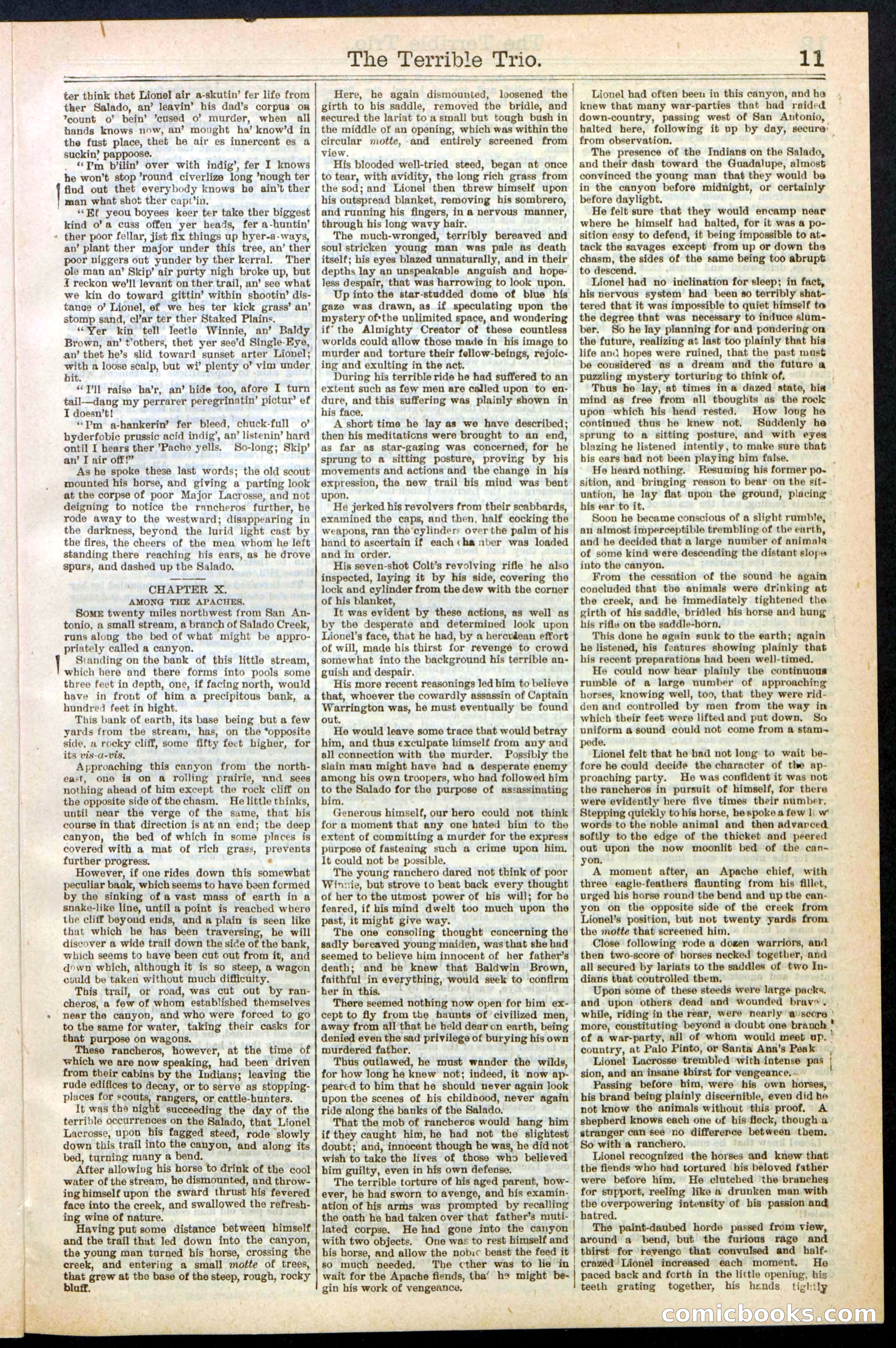 Beadle's New York Dime Library, No. 239 — page 11 of 32