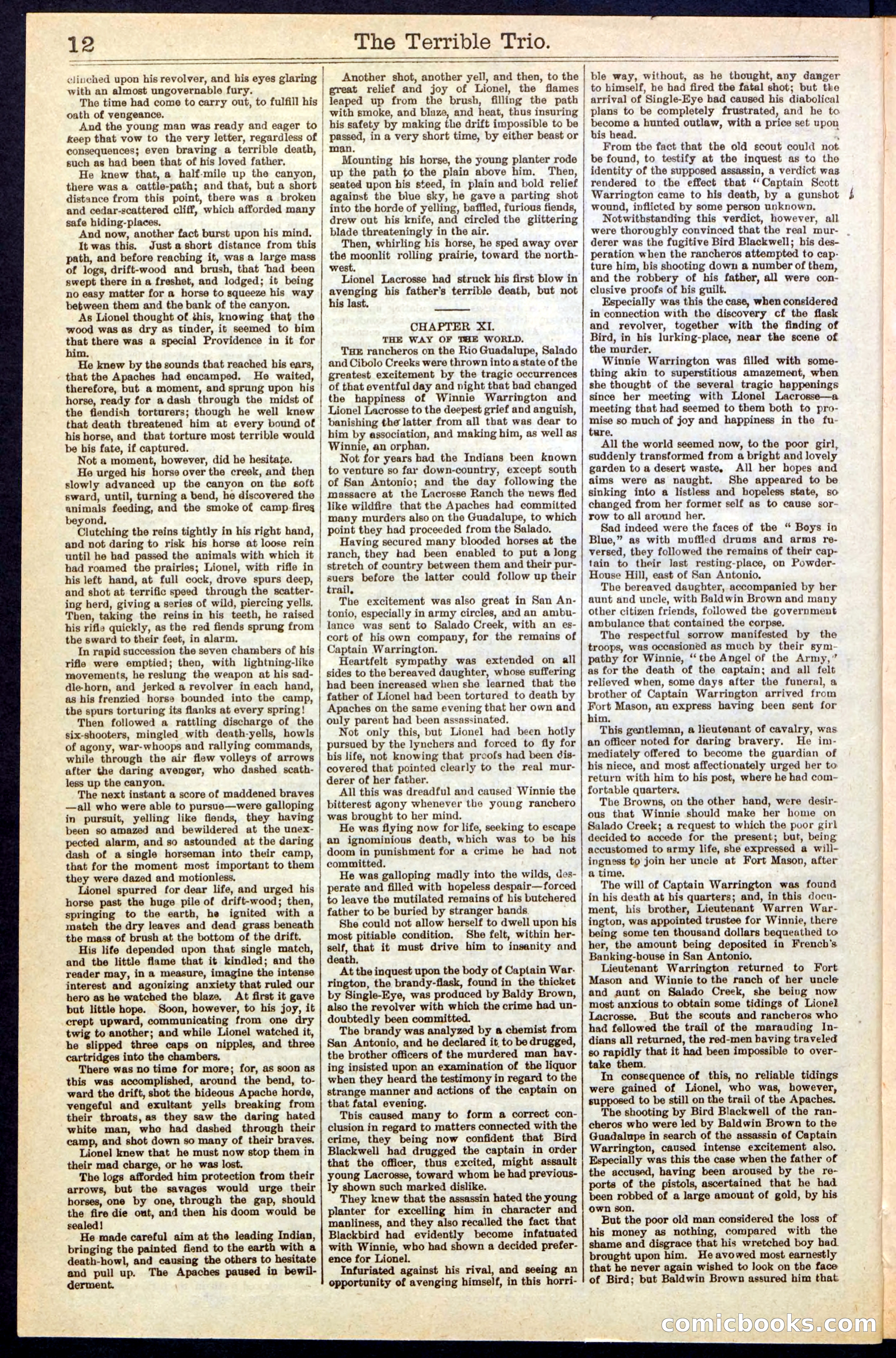 Beadle's New York Dime Library, No. 239 — page 12 of 32