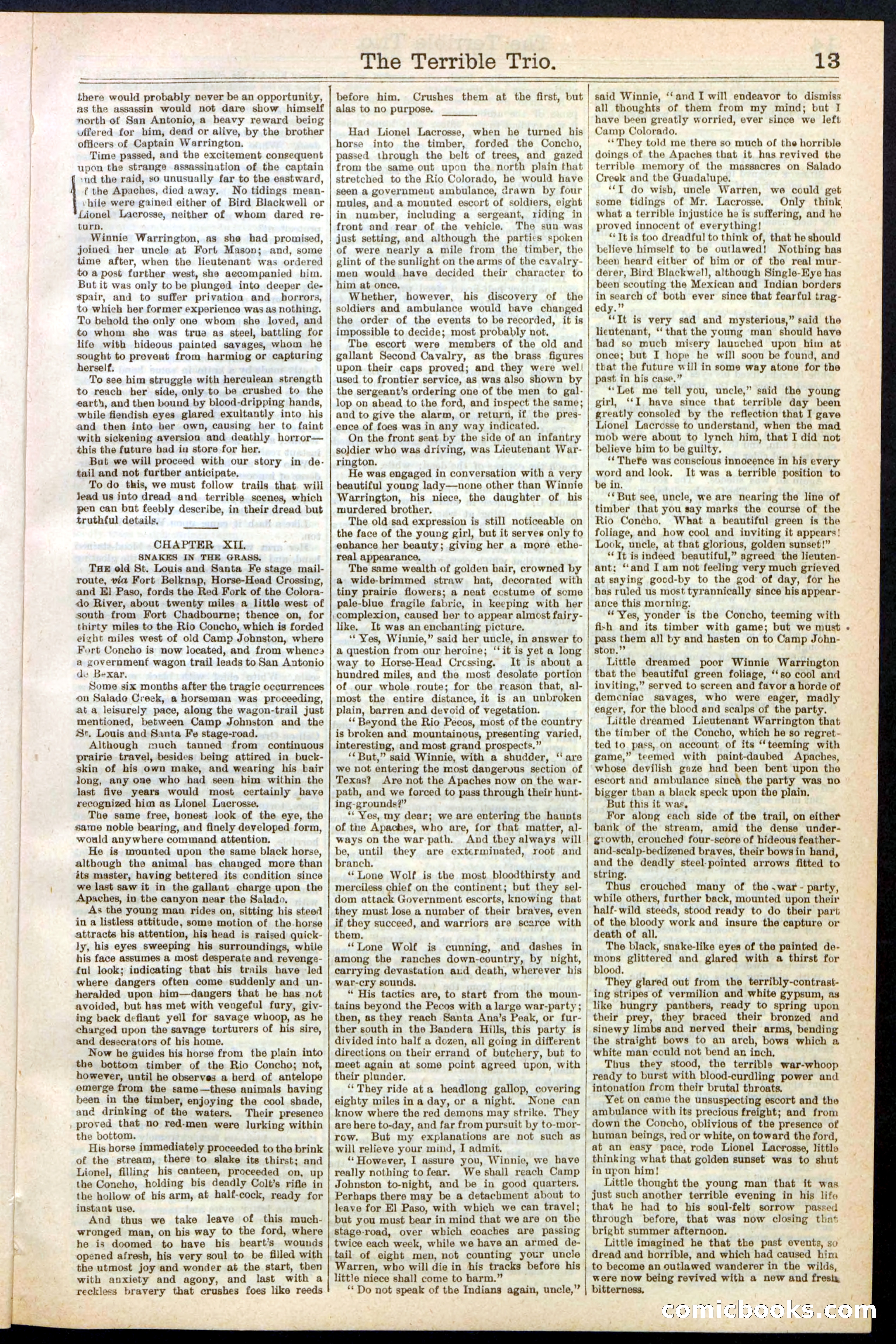 Beadle's New York Dime Library, No. 239 — page 13 of 32