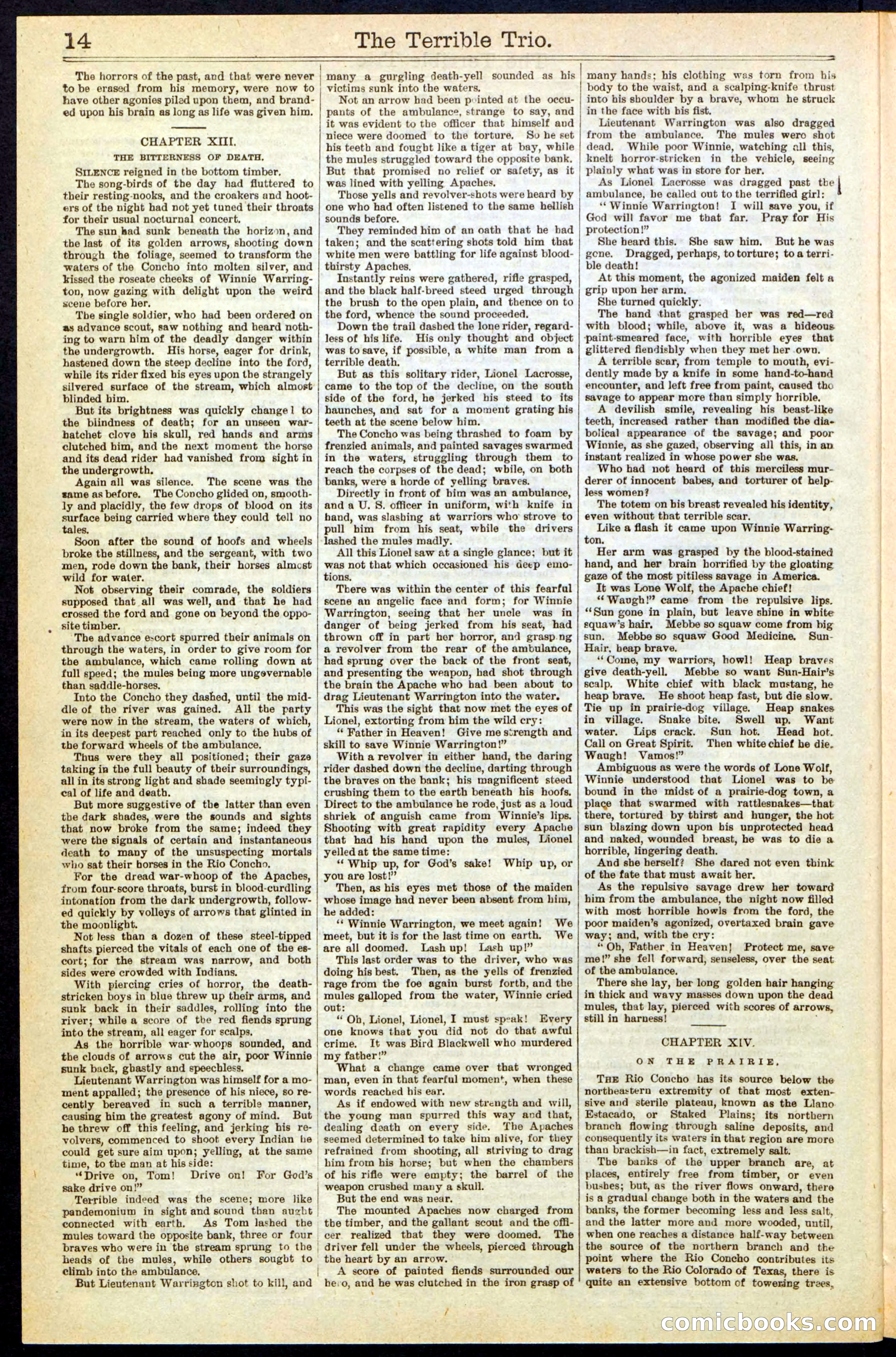 Beadle's New York Dime Library, No. 239 — page 14 of 32