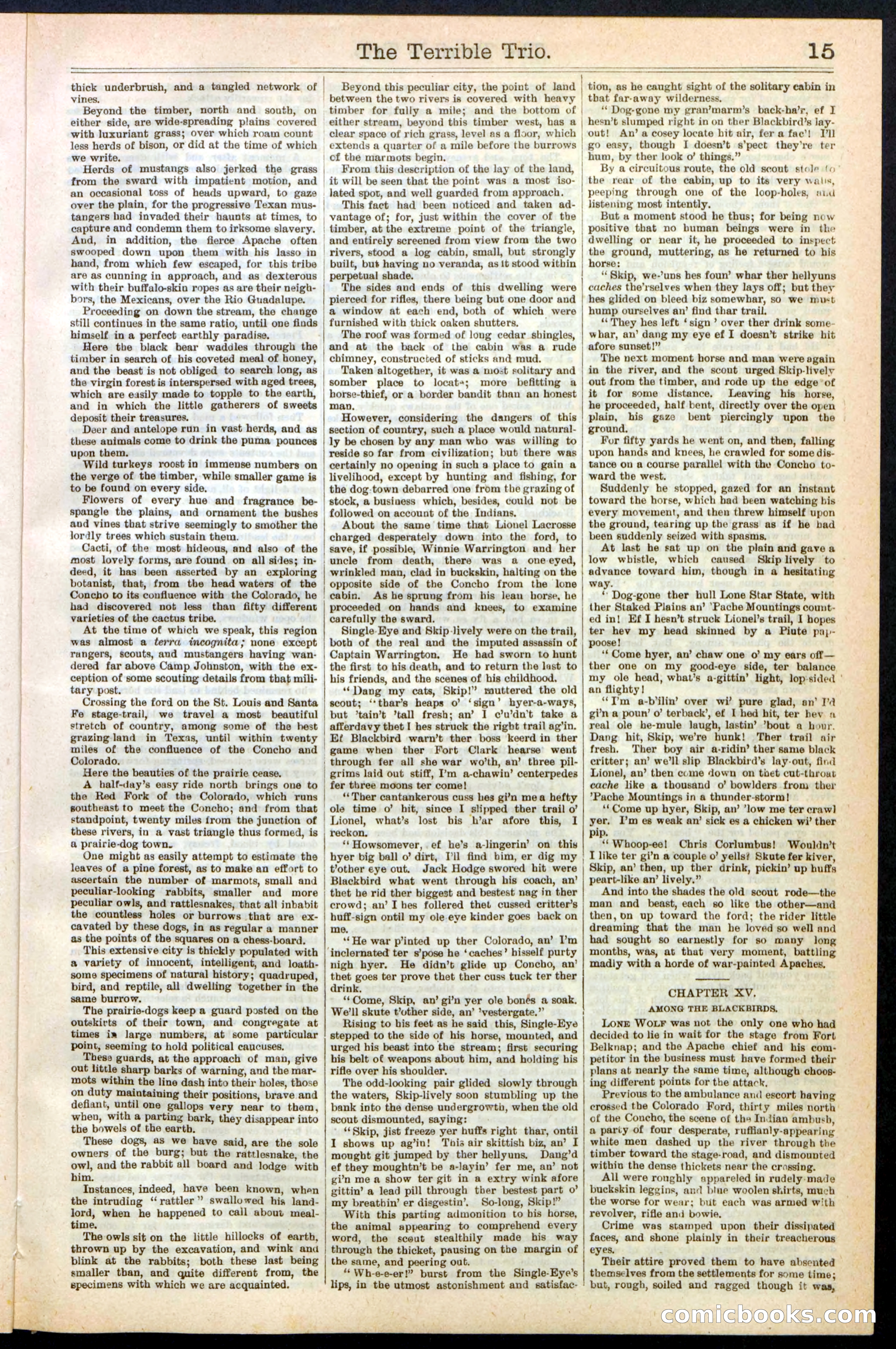 Beadle's New York Dime Library, No. 239 — page 15 of 32