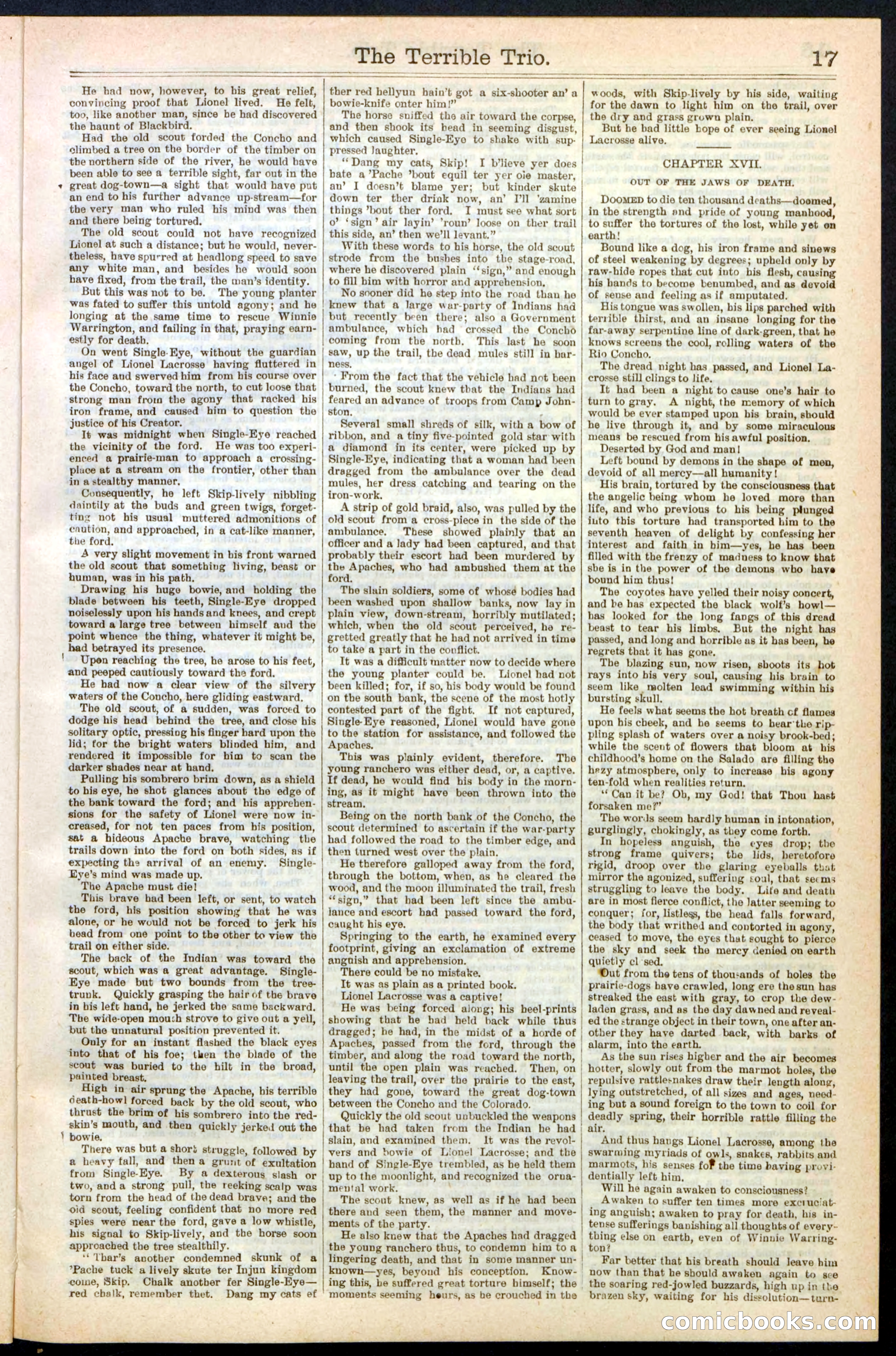 Beadle's New York Dime Library, No. 239 — page 17 of 32