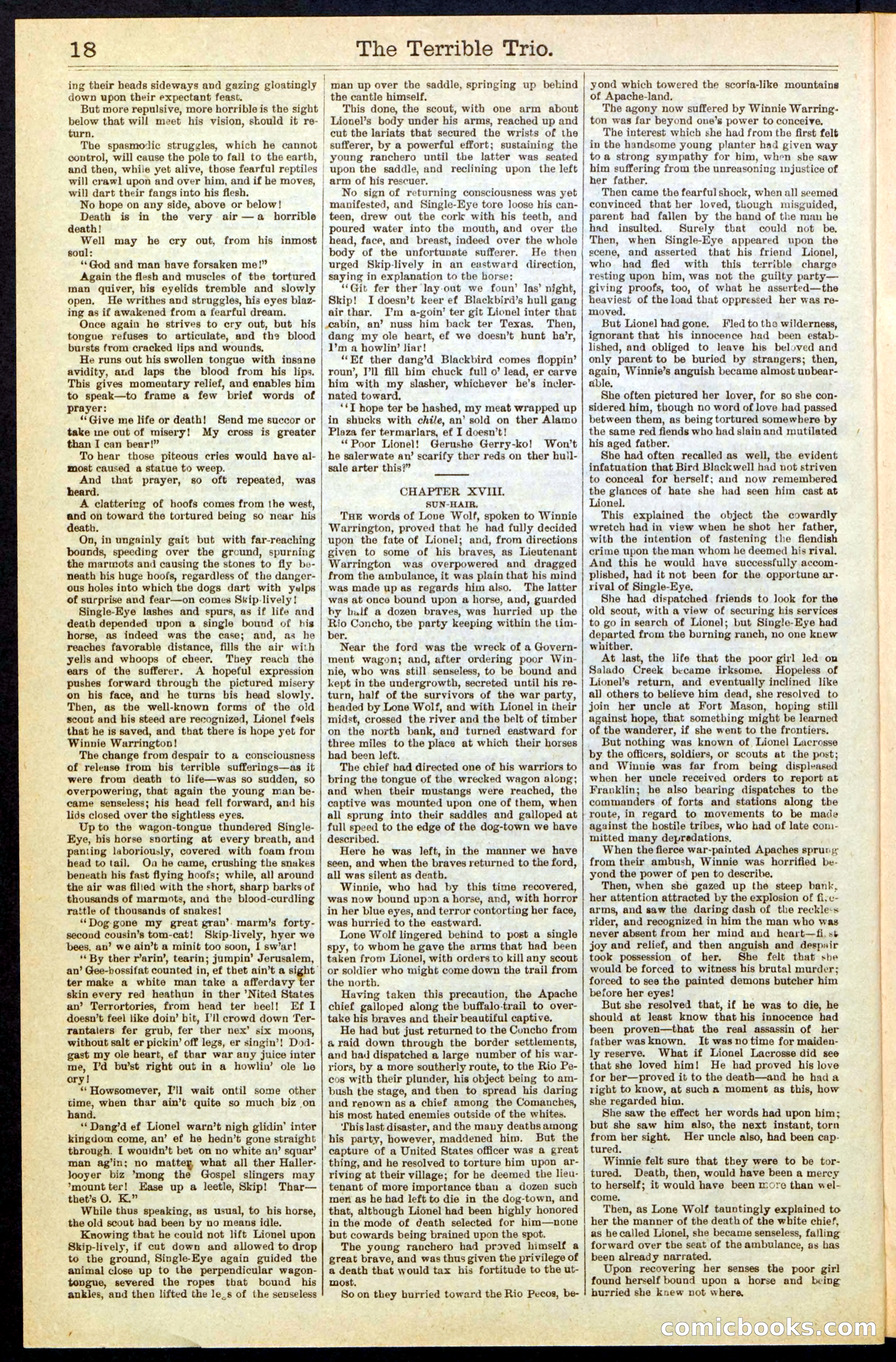Beadle's New York Dime Library, No. 239 — page 18 of 32