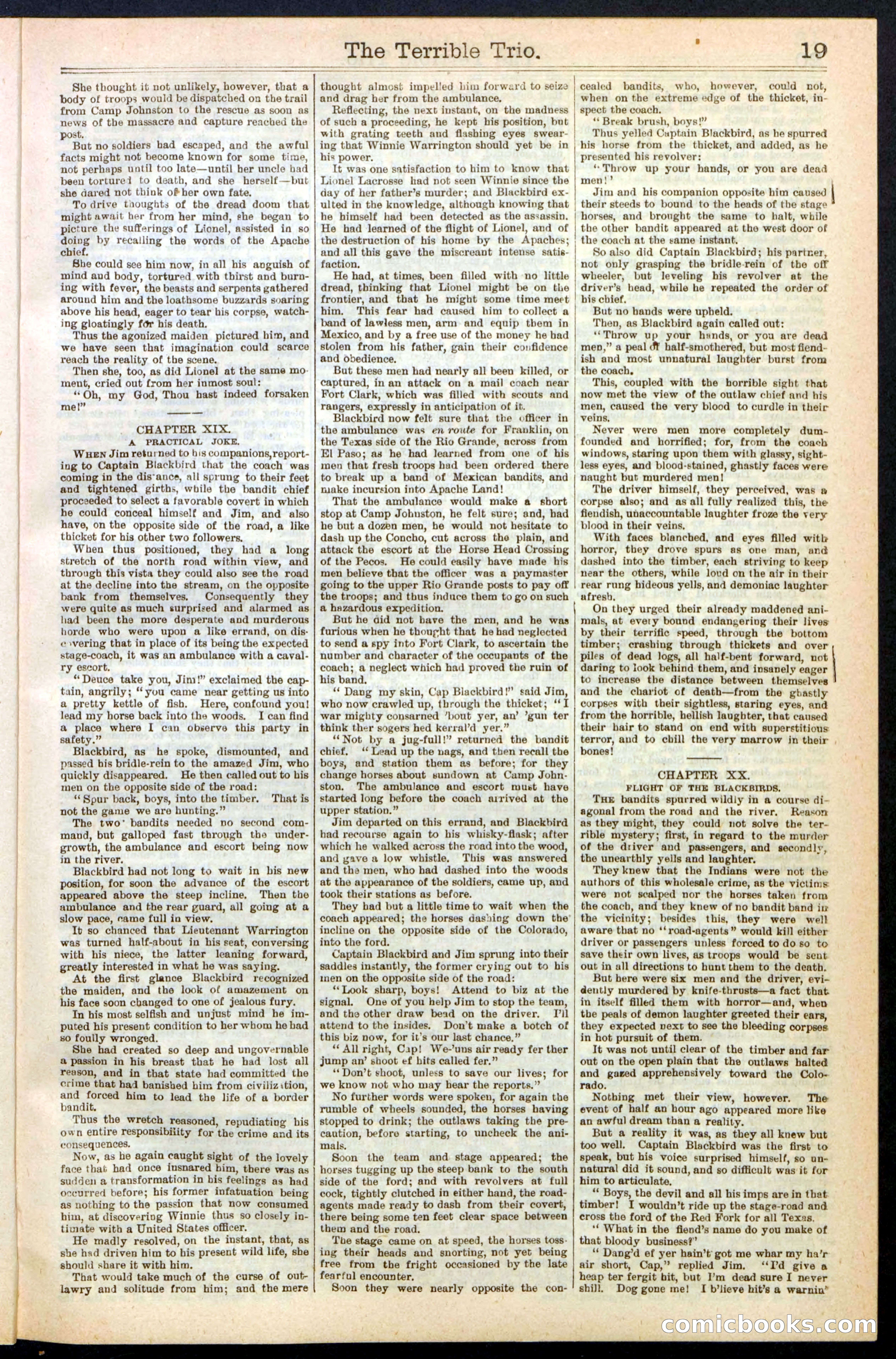 Beadle's New York Dime Library, No. 239 — page 19 of 32