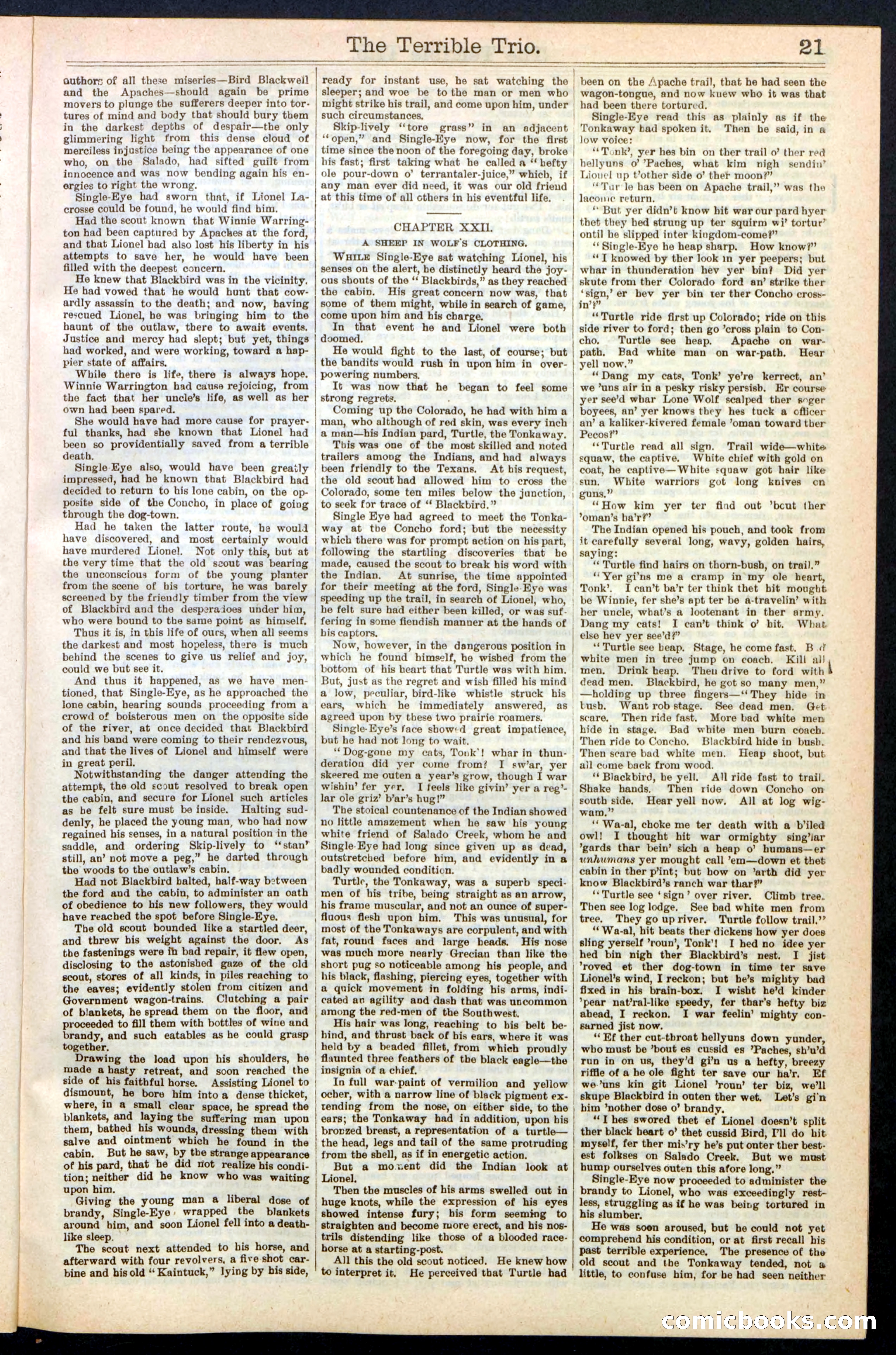 Beadle's New York Dime Library, No. 239 — page 21 of 32