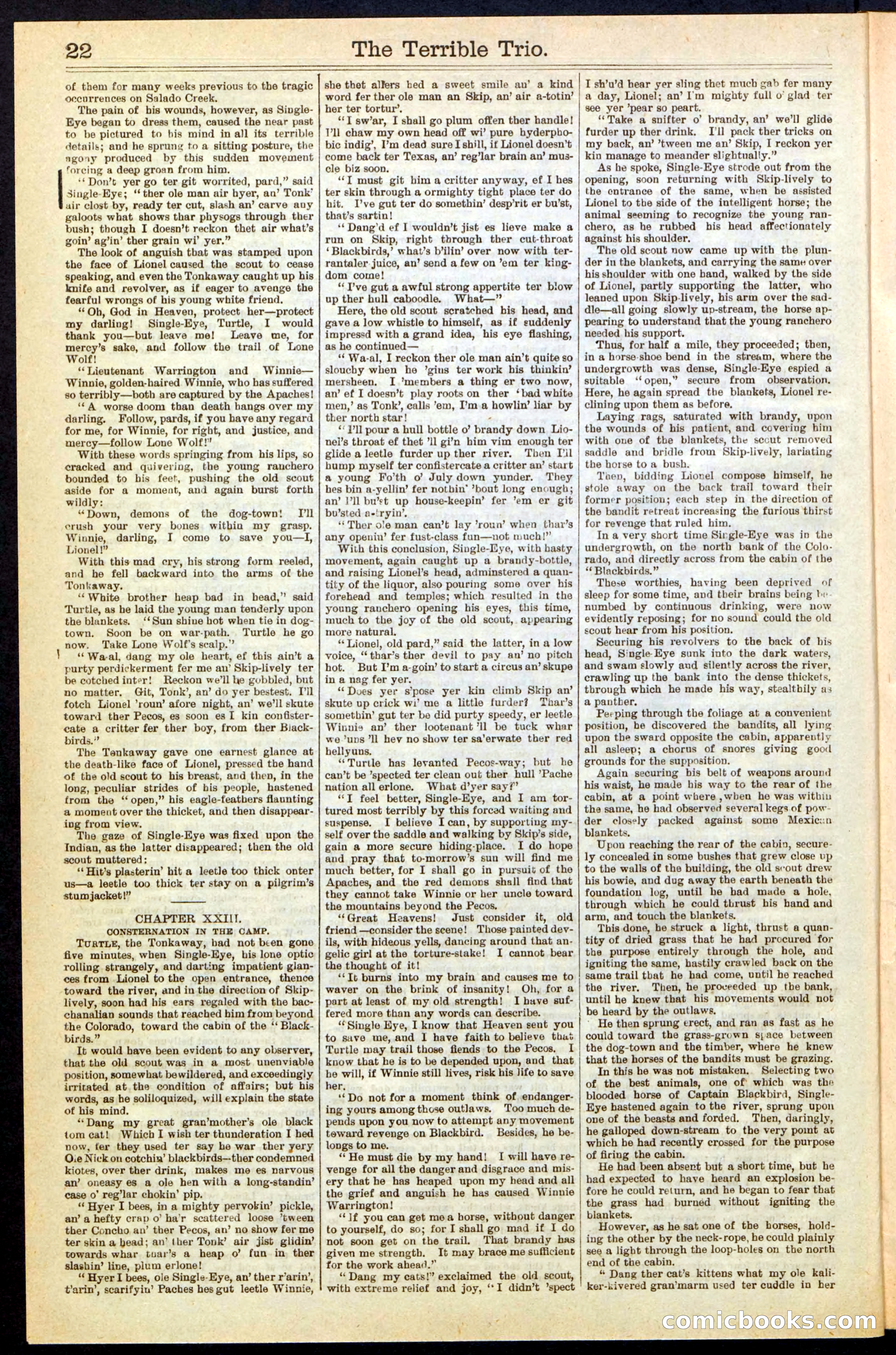 Beadle's New York Dime Library, No. 239 — page 22 of 32