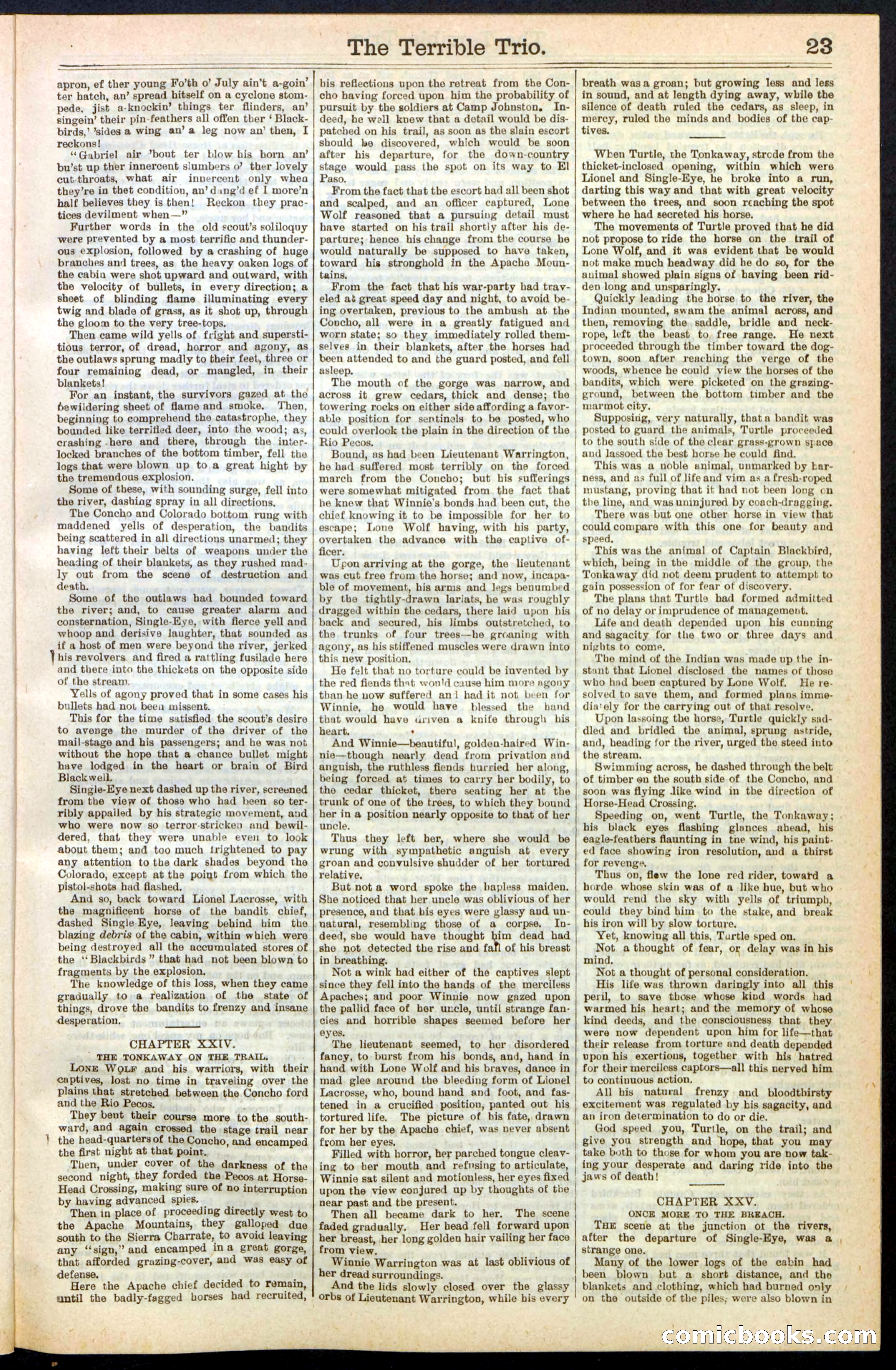 Beadle's New York Dime Library, No. 239 — page 23 of 32
