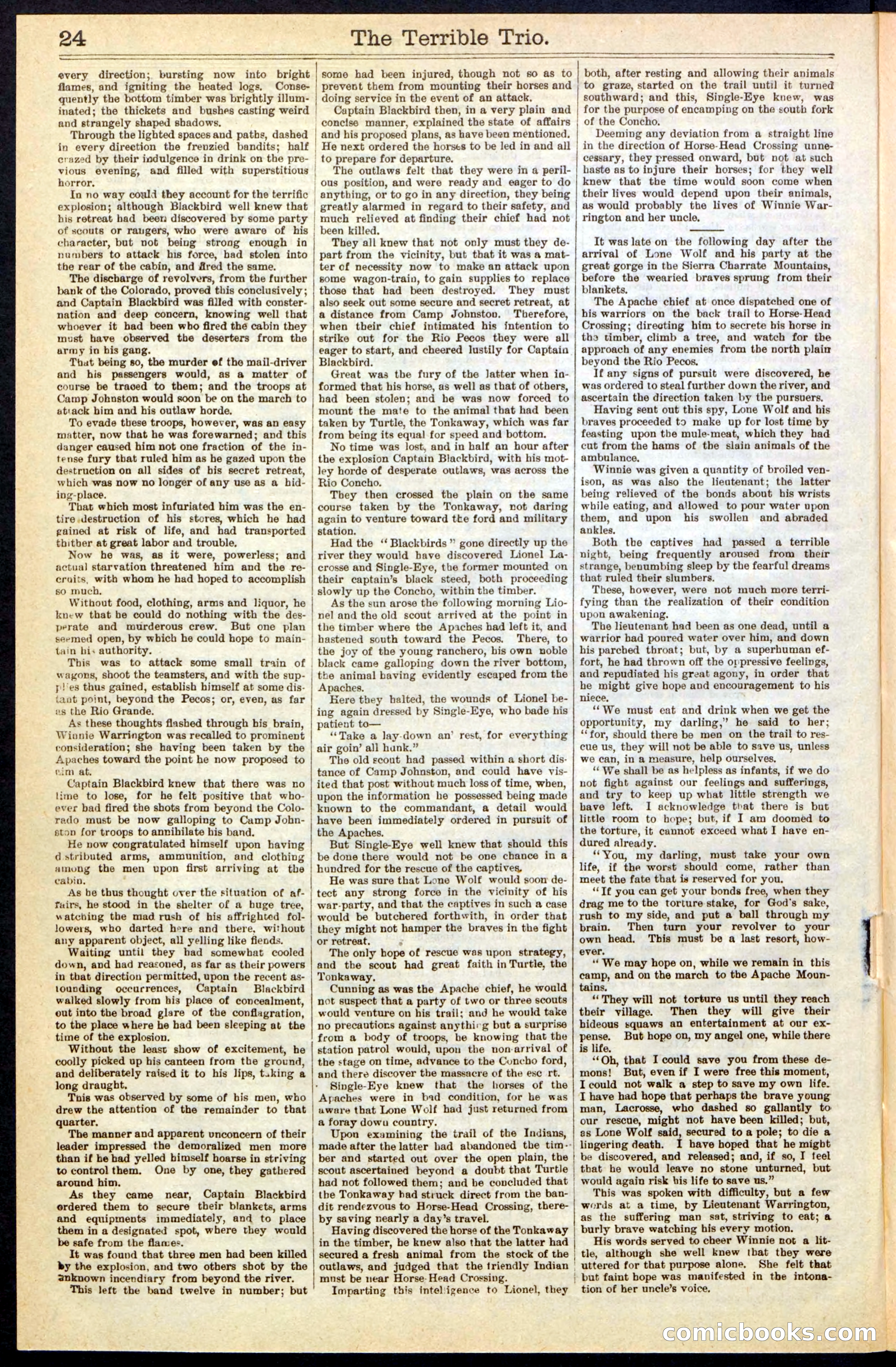 Beadle's New York Dime Library, No. 239 — page 24 of 32
