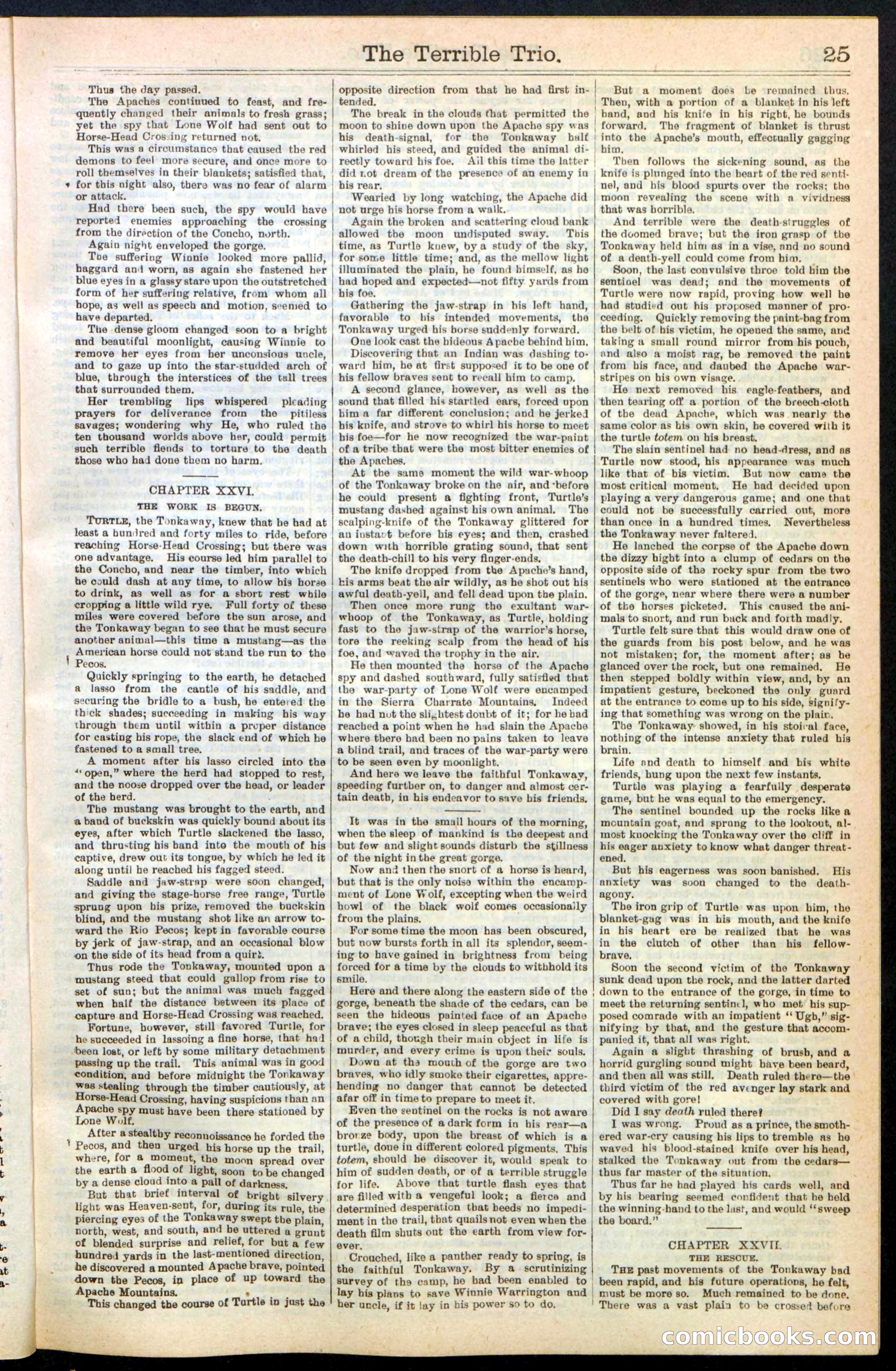 Beadle's New York Dime Library, No. 239 — page 25 of 32