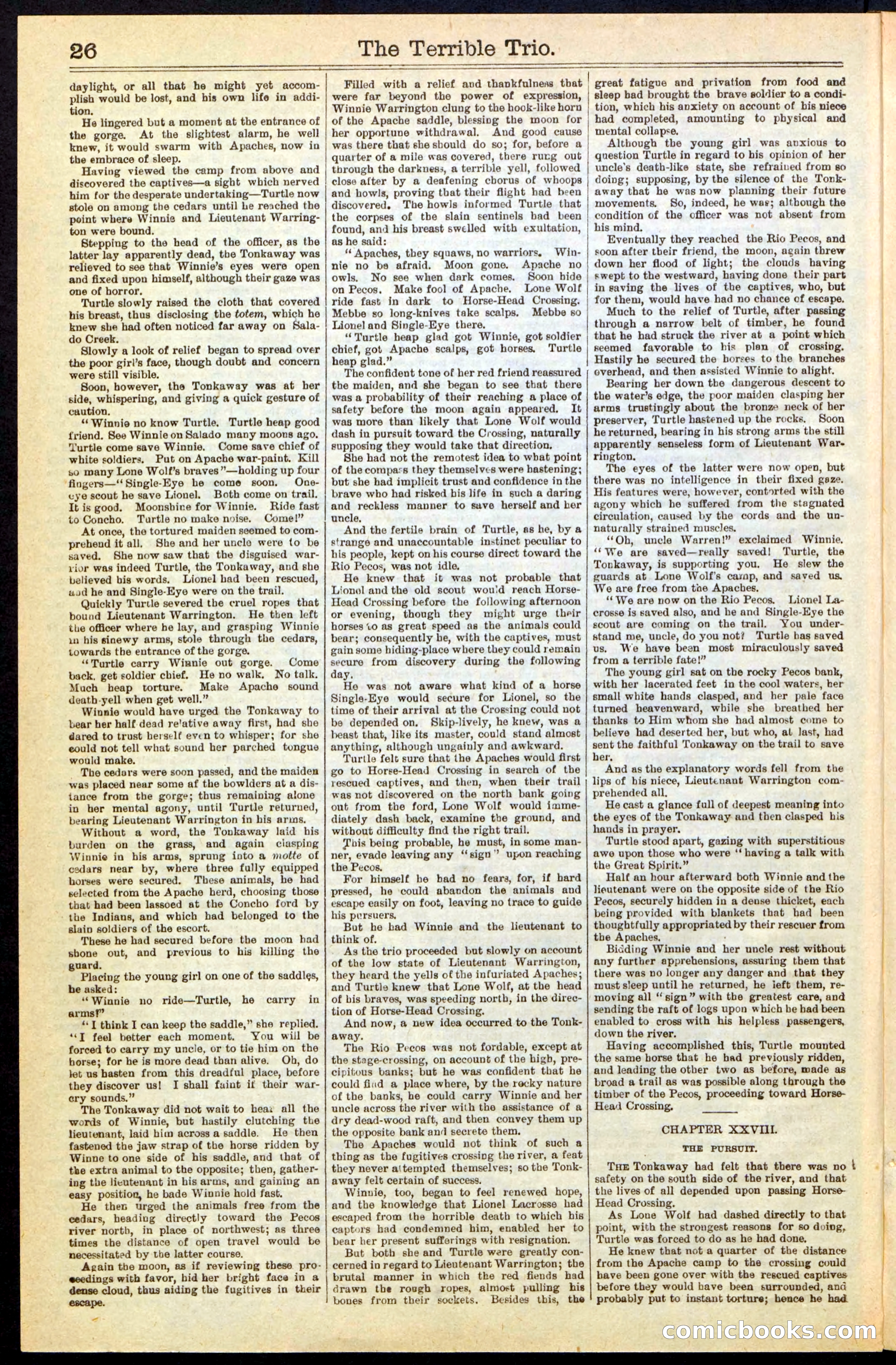 Beadle's New York Dime Library, No. 239 — page 26 of 32