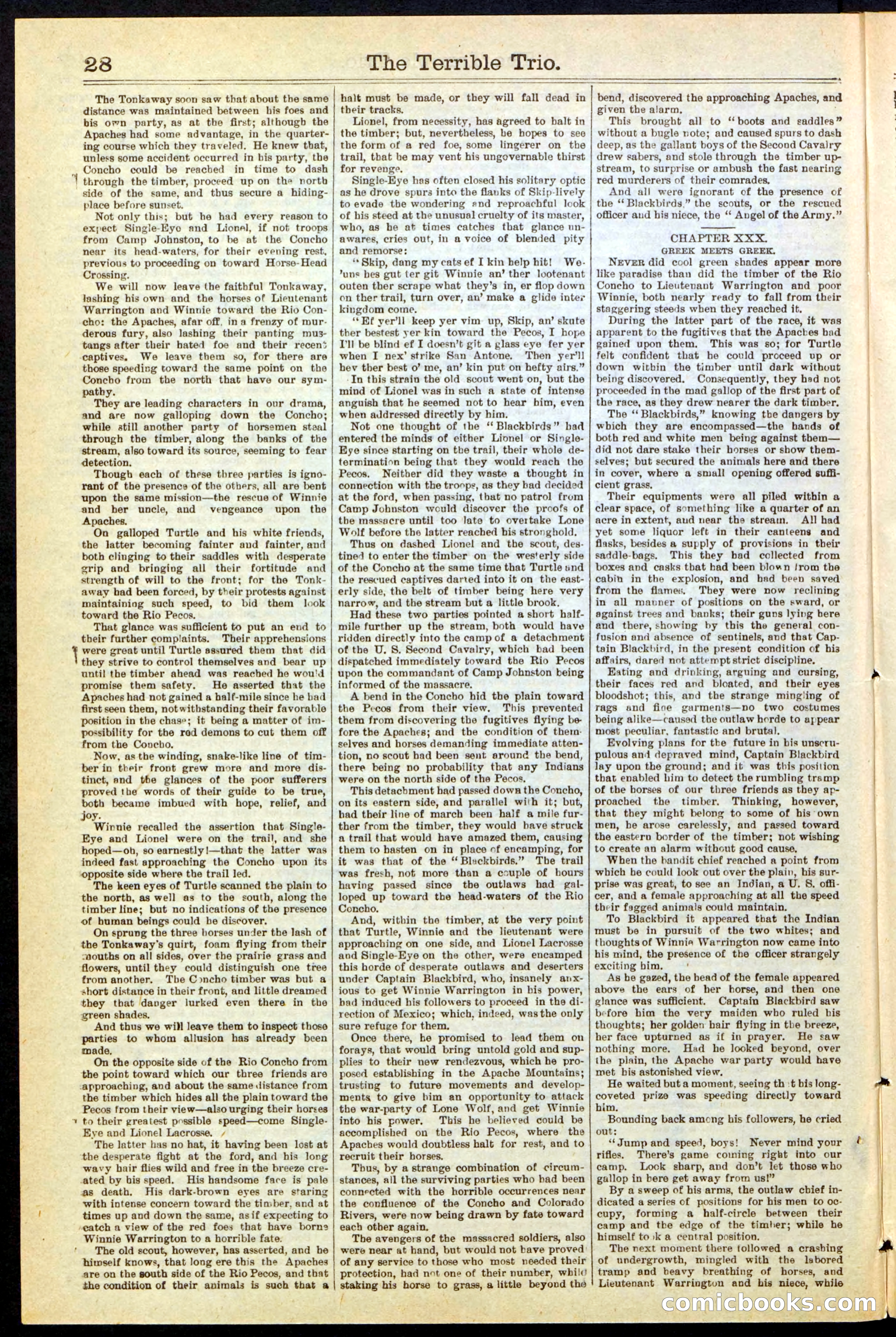 Beadle's New York Dime Library, No. 239 — page 28 of 32