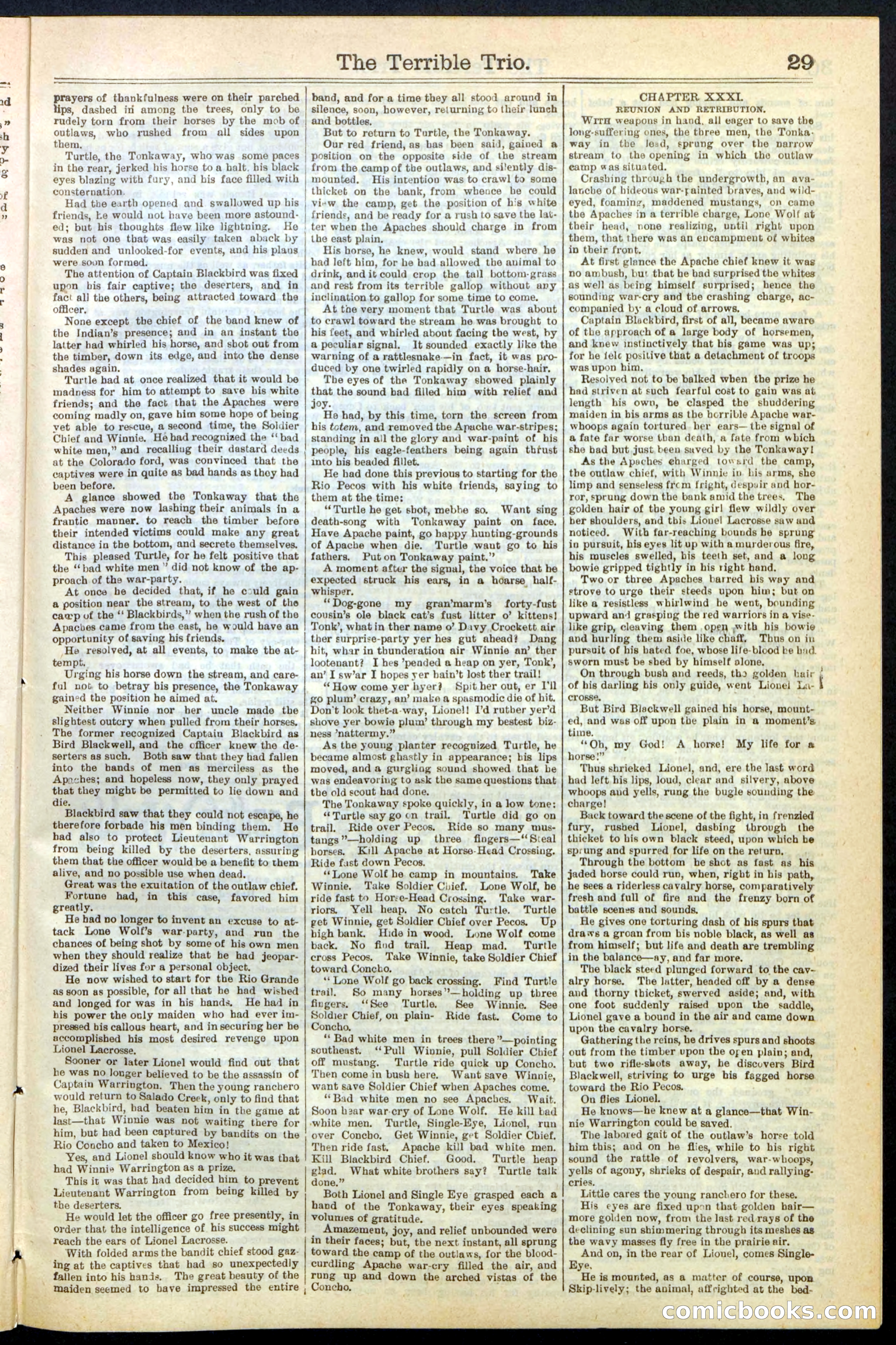 Beadle's New York Dime Library, No. 239 — page 29 of 32