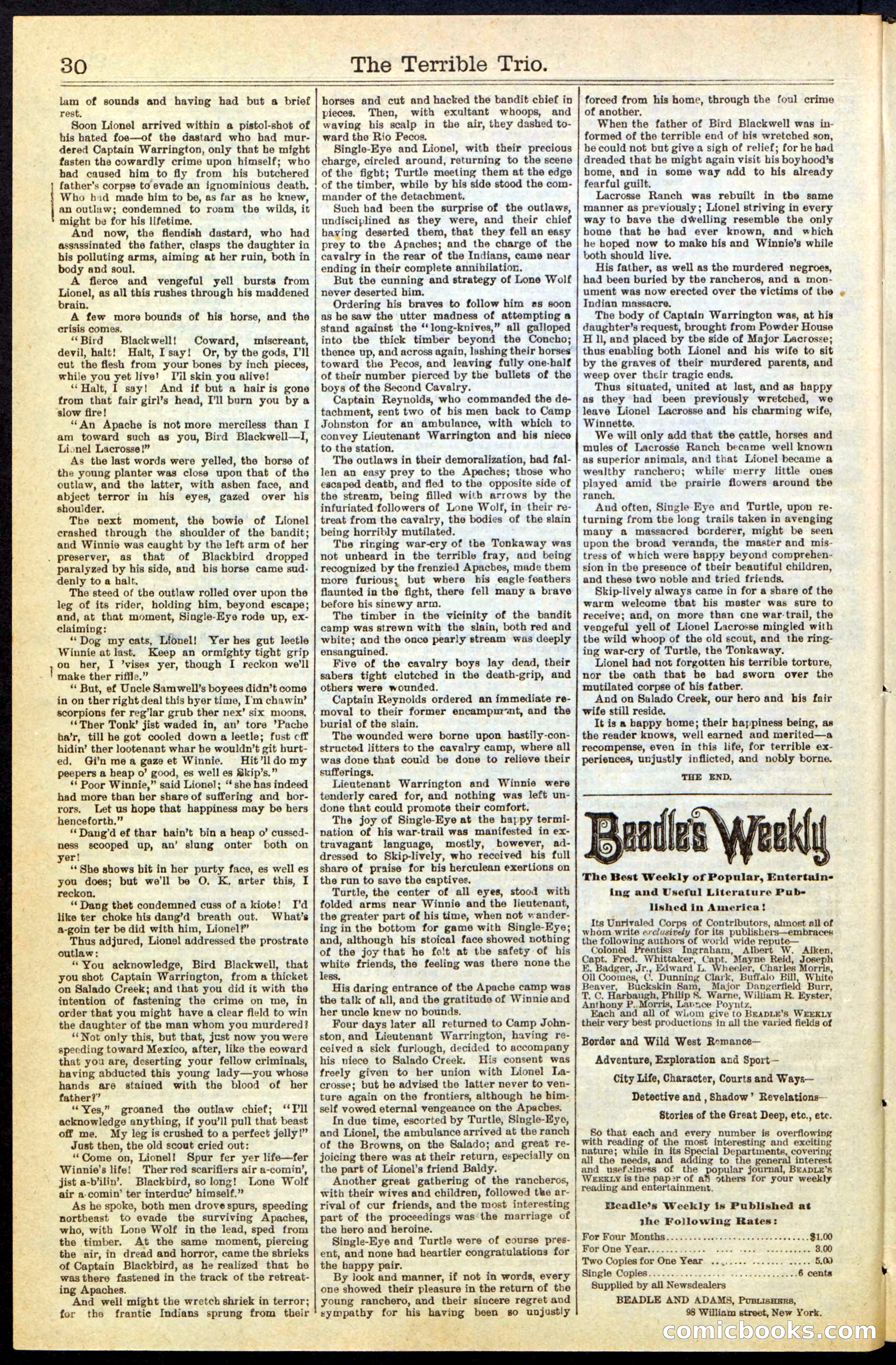 Beadle's New York Dime Library, No. 239 — page 30 of 32