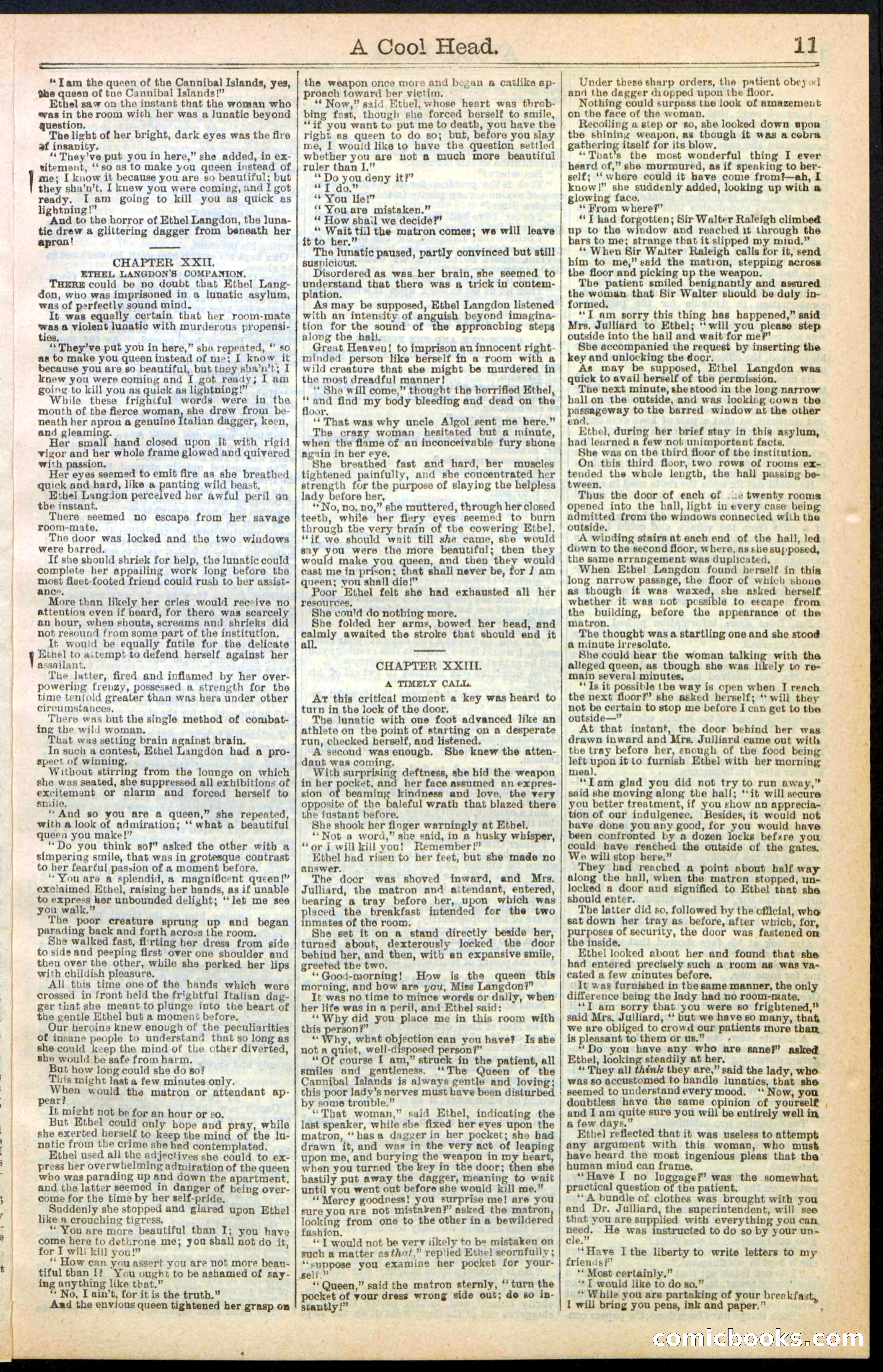 Beadle's Dime Library, No. 240 — page 11 of 32