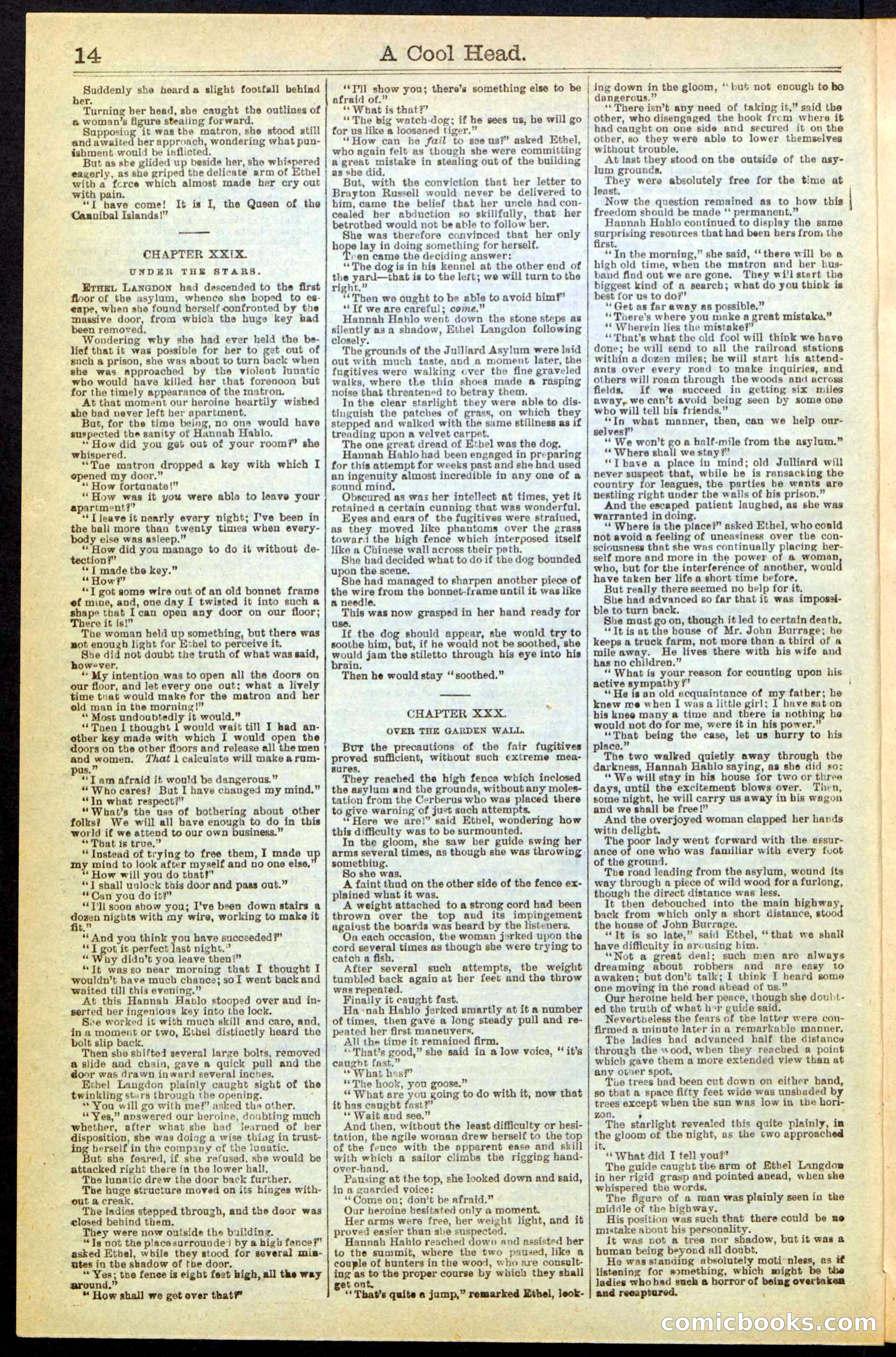 Beadle's Dime Library, No. 240 — page 14 of 32